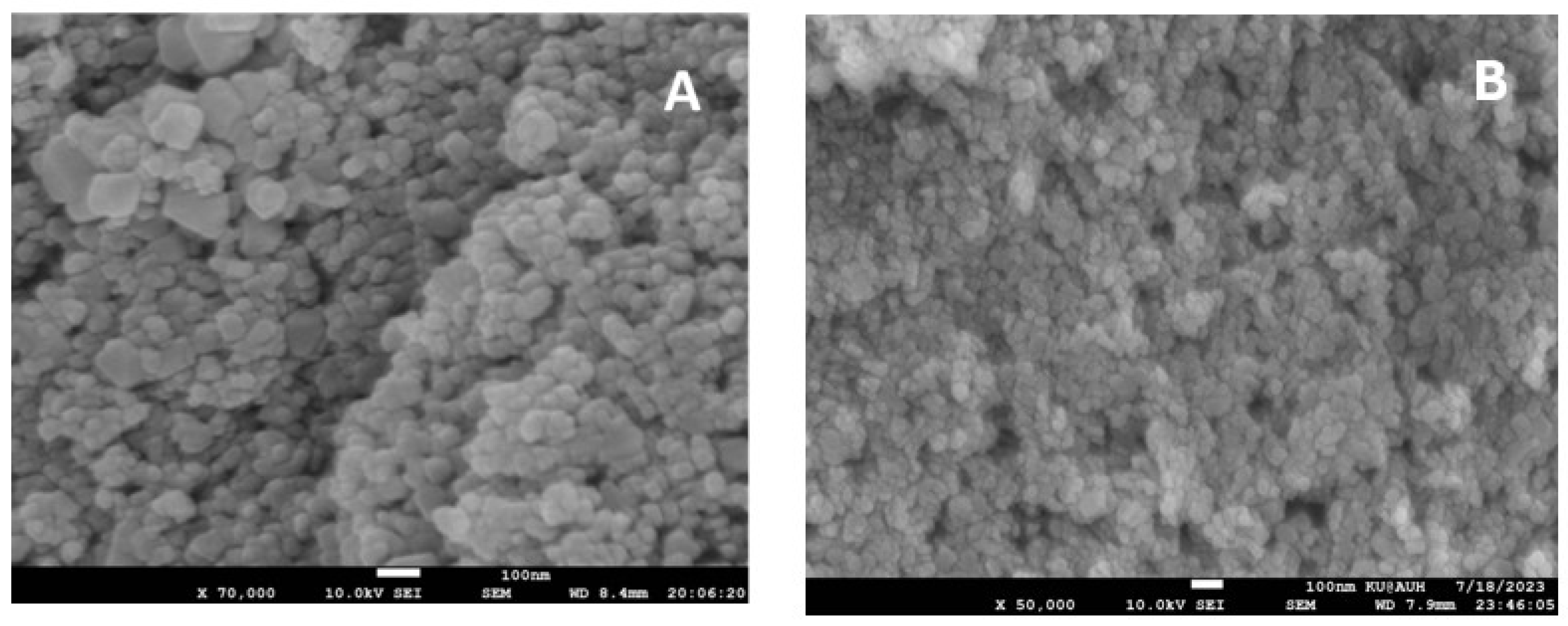 Nanomaterials 14 00630 g004