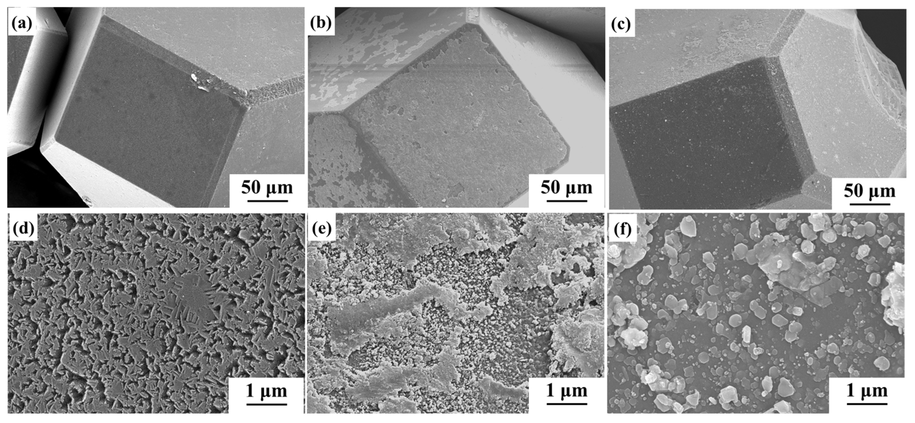 Nanomaterials 14 00640 g005