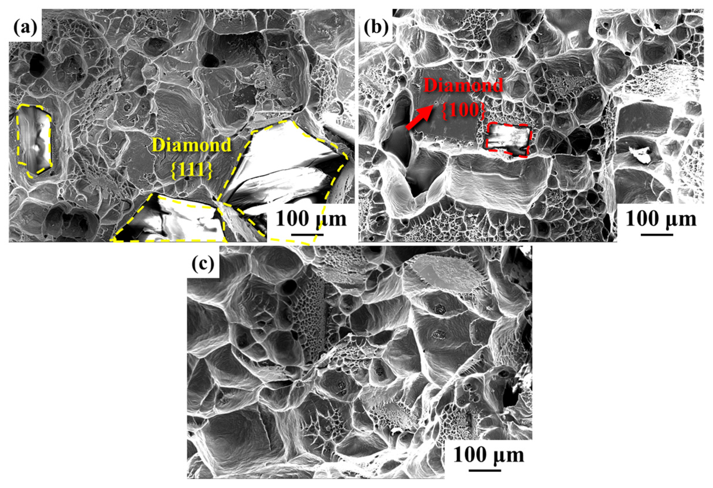 Nanomaterials 14 00640 g006
