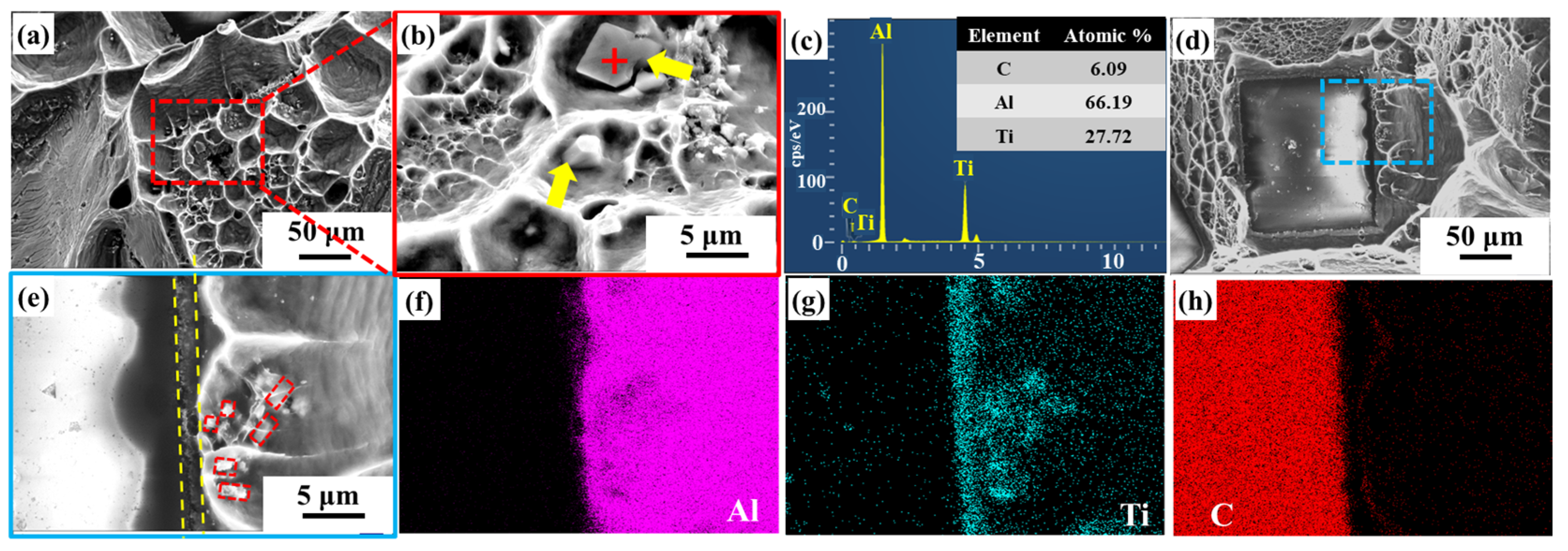 Nanomaterials 14 00640 g008