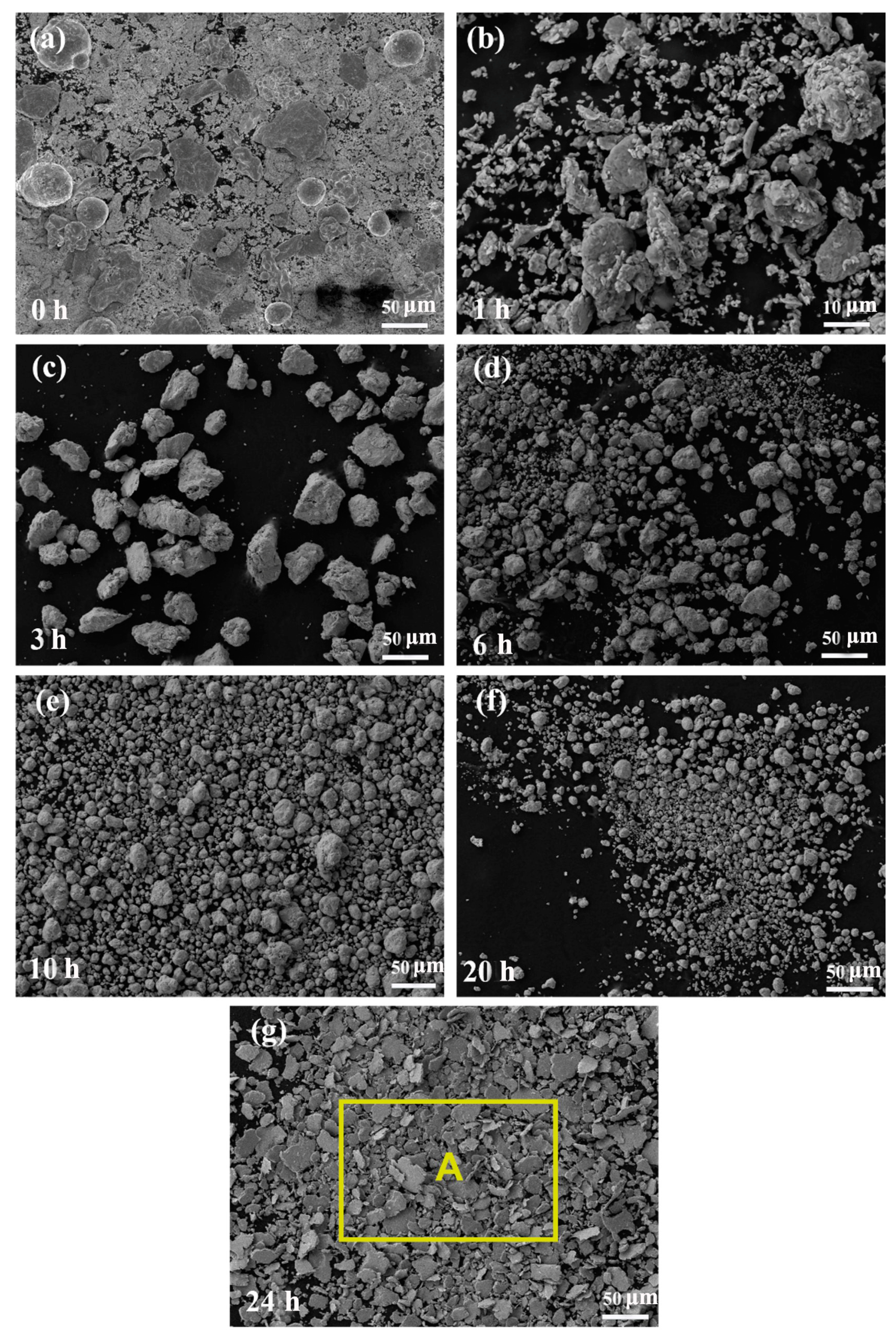 Nanomaterials 14 00641 g003