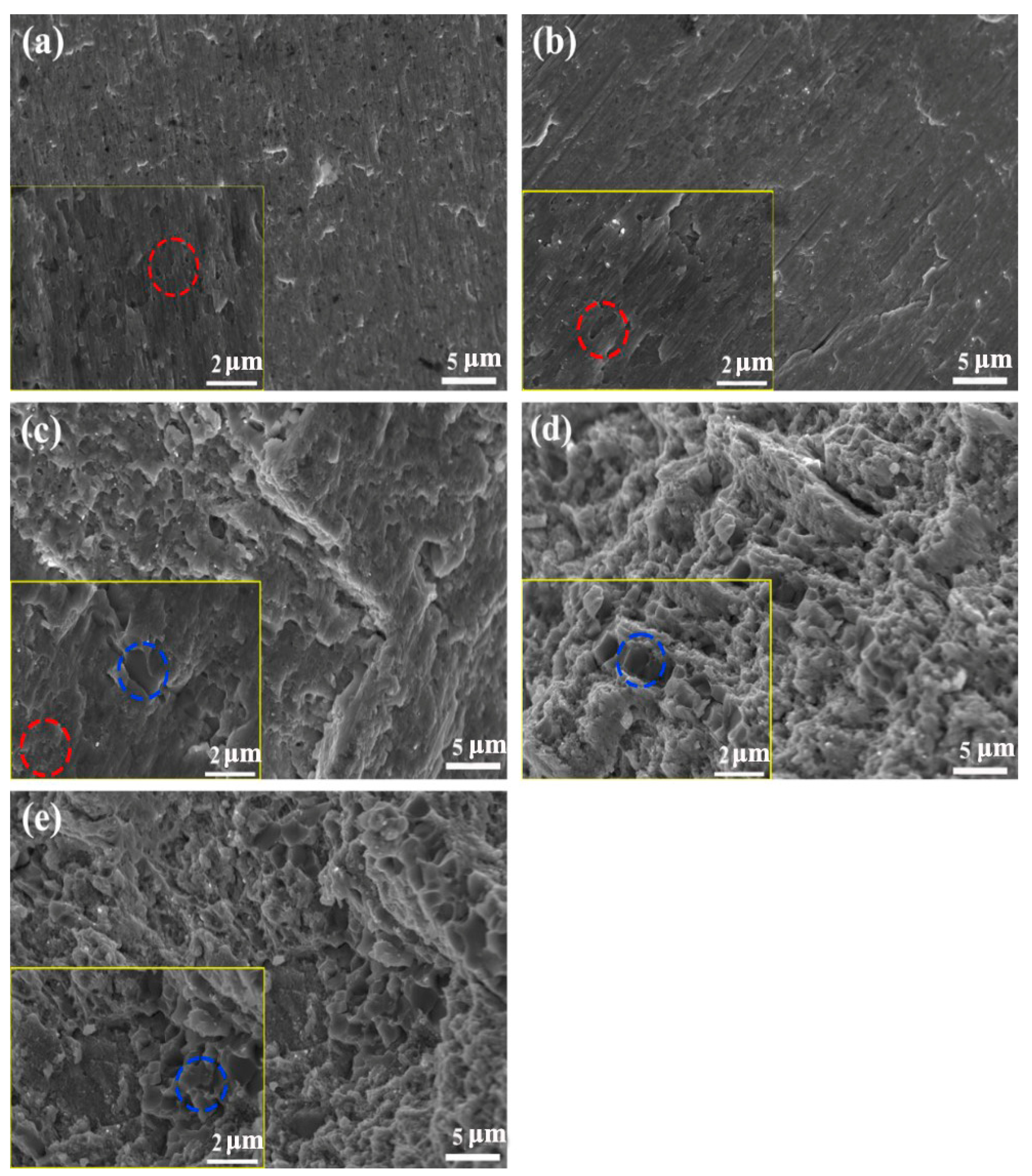 Nanomaterials 14 00641 g007