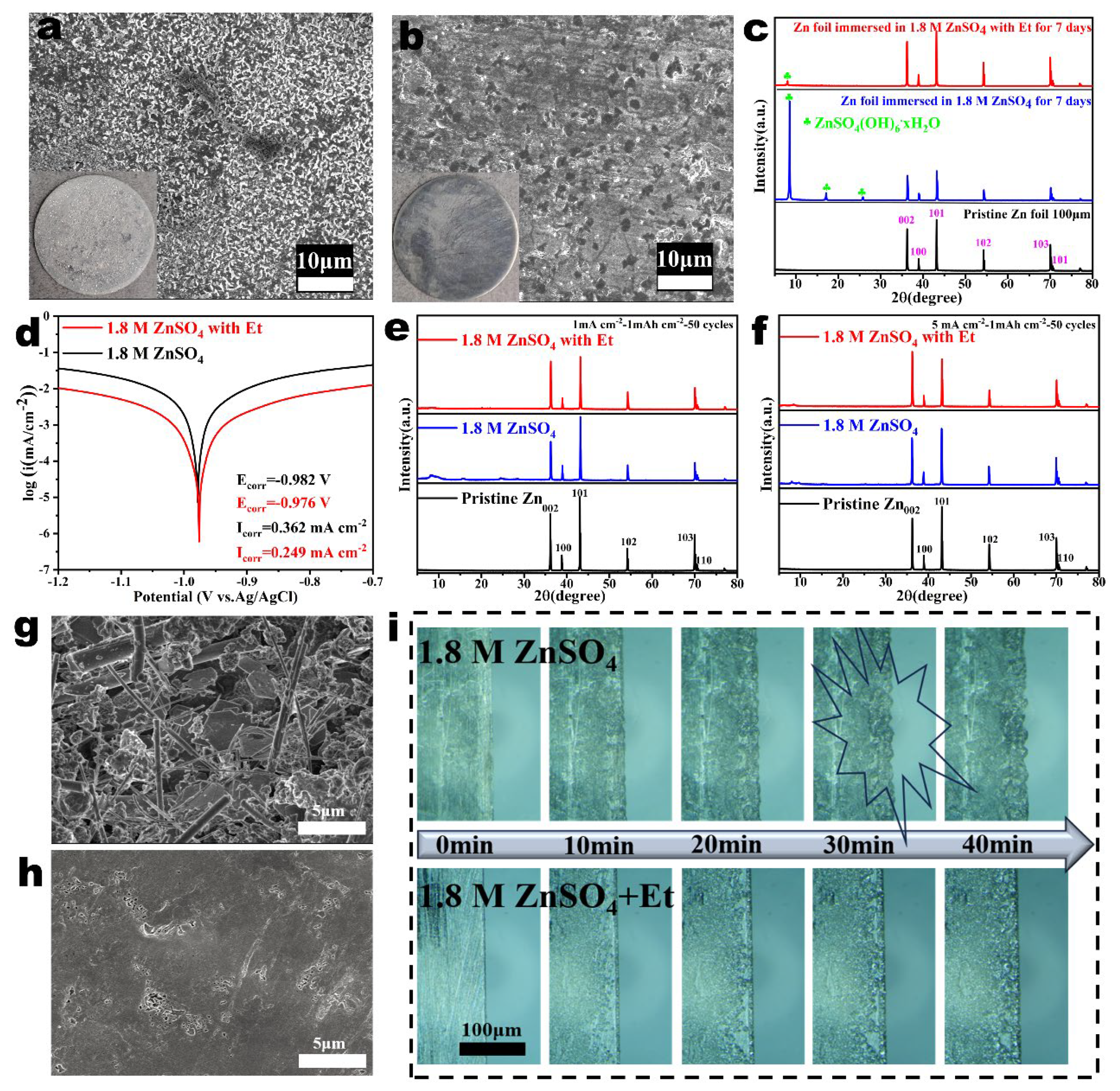 Nanomaterials 14 00644 g003