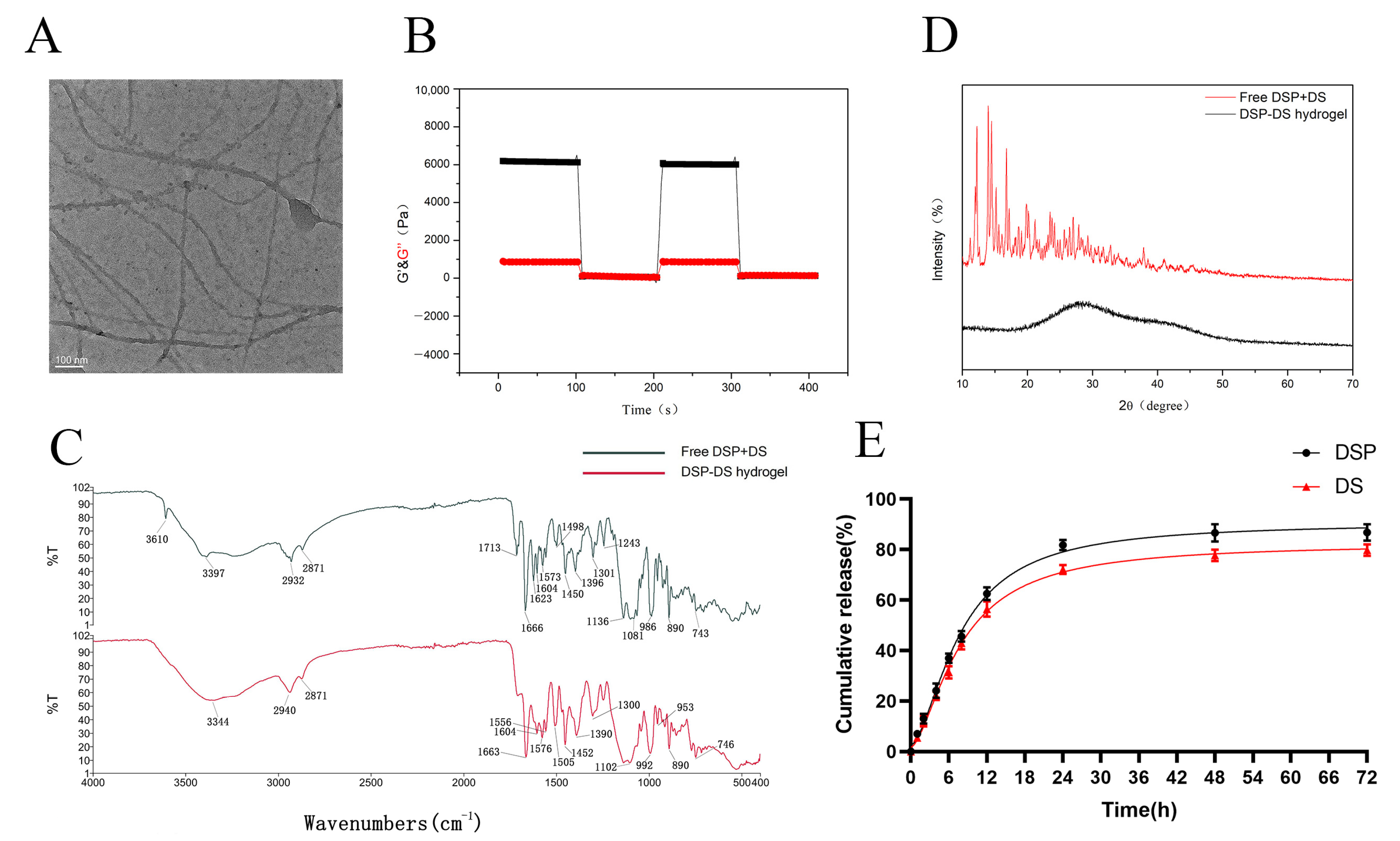 Nanomaterials 14 00645 g002