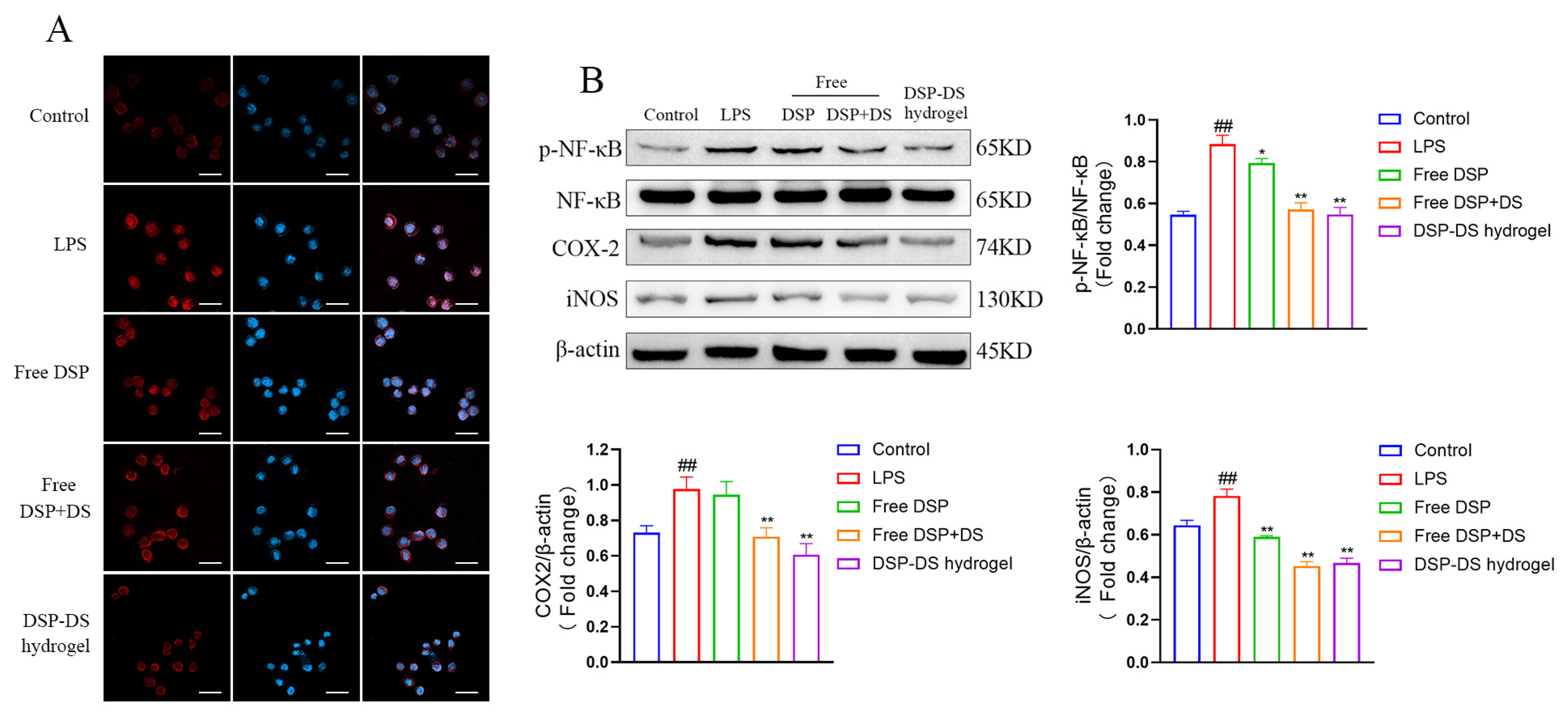 Nanomaterials 14 00645 g004