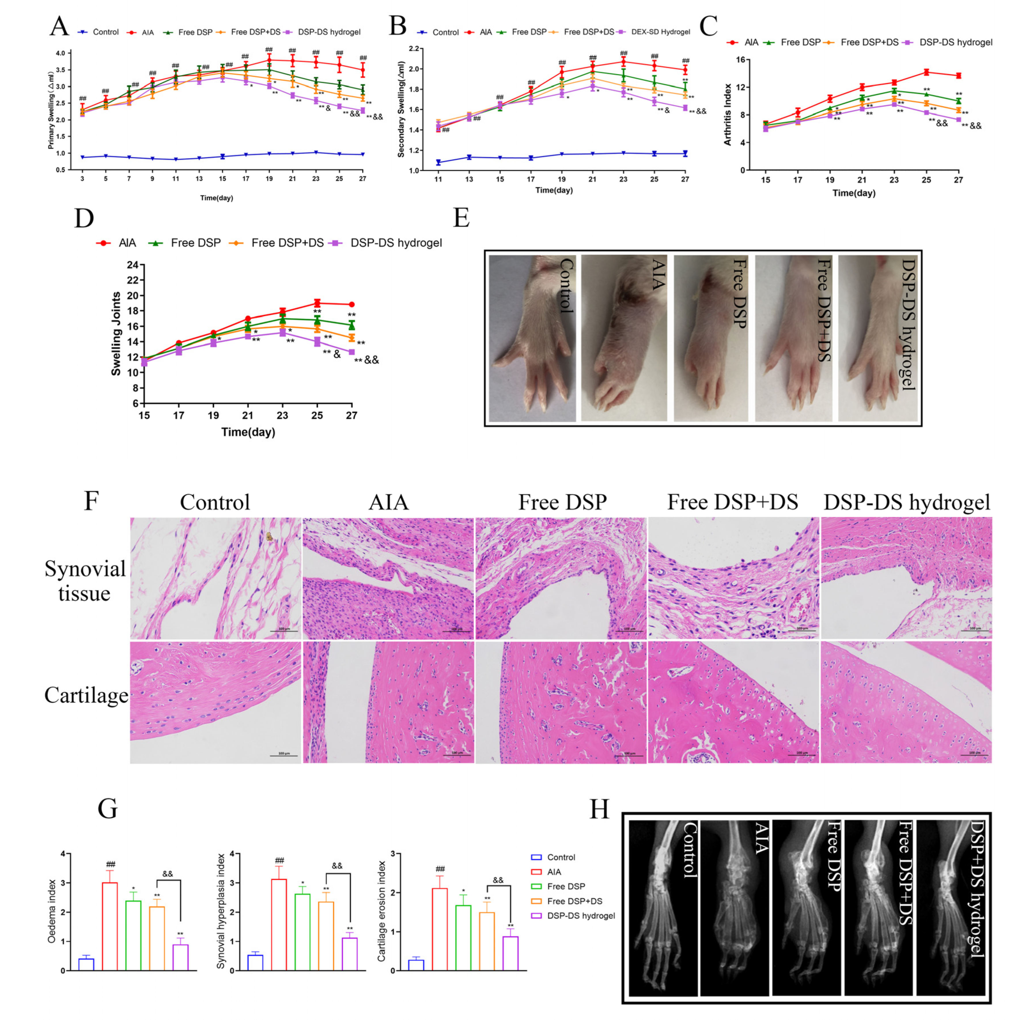 Nanomaterials 14 00645 g005