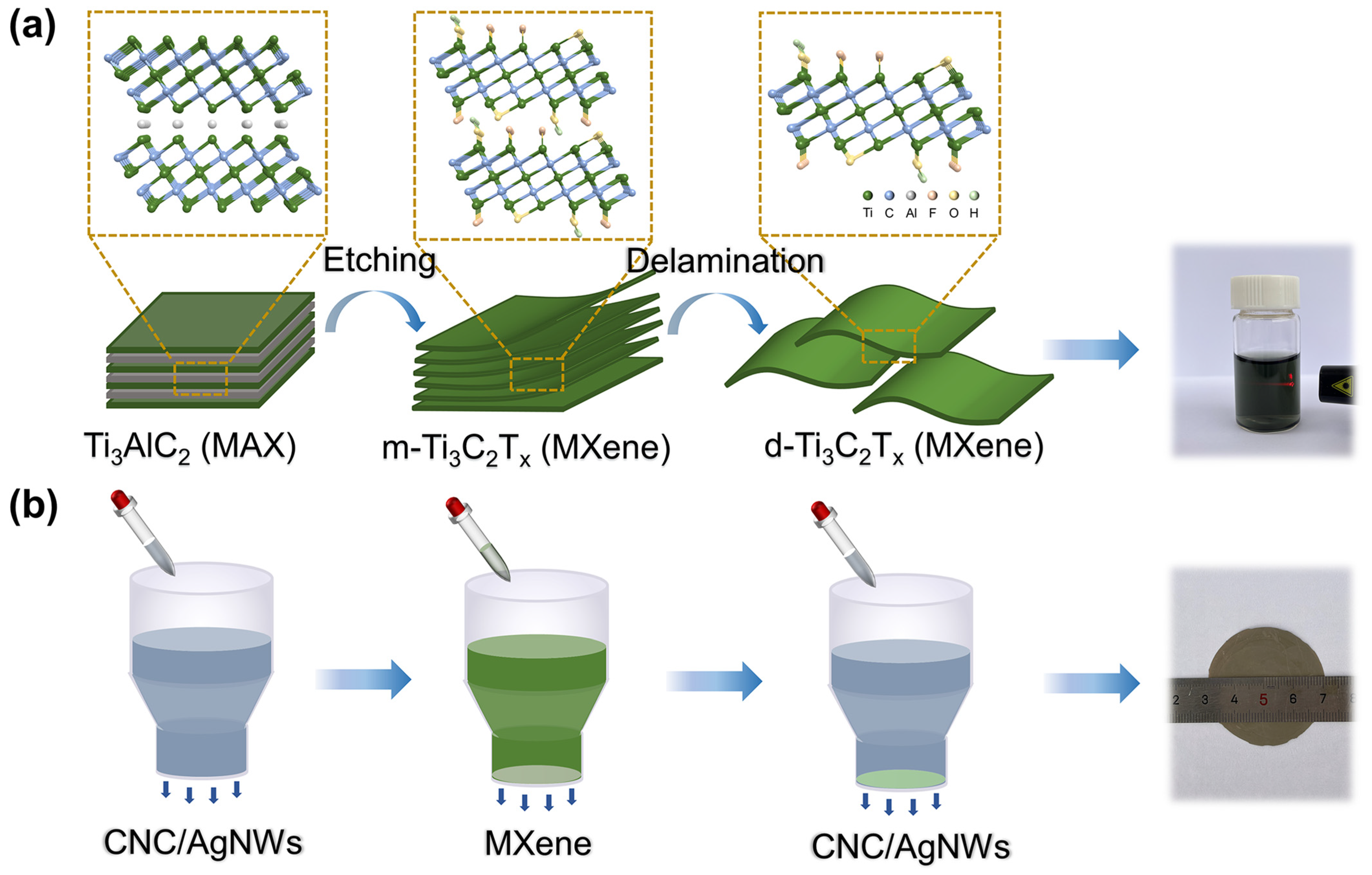 Nanomaterials 14 00647 g001