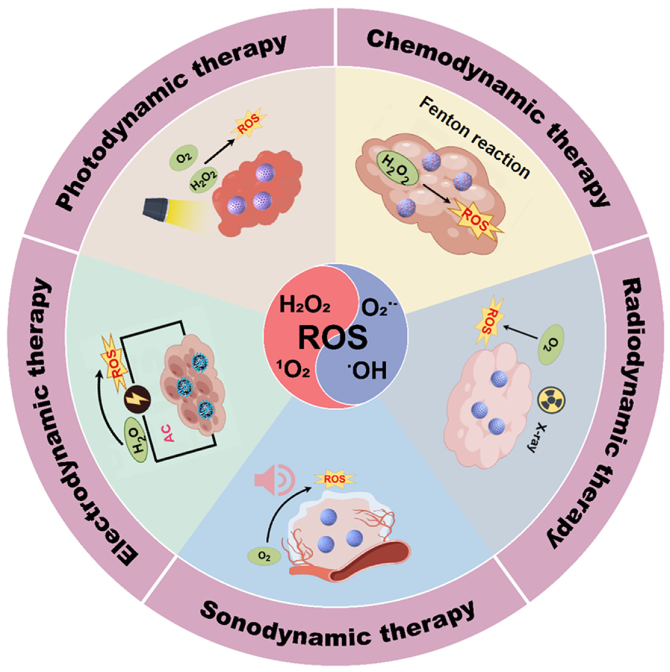 Nanomaterials 14 00648 g001