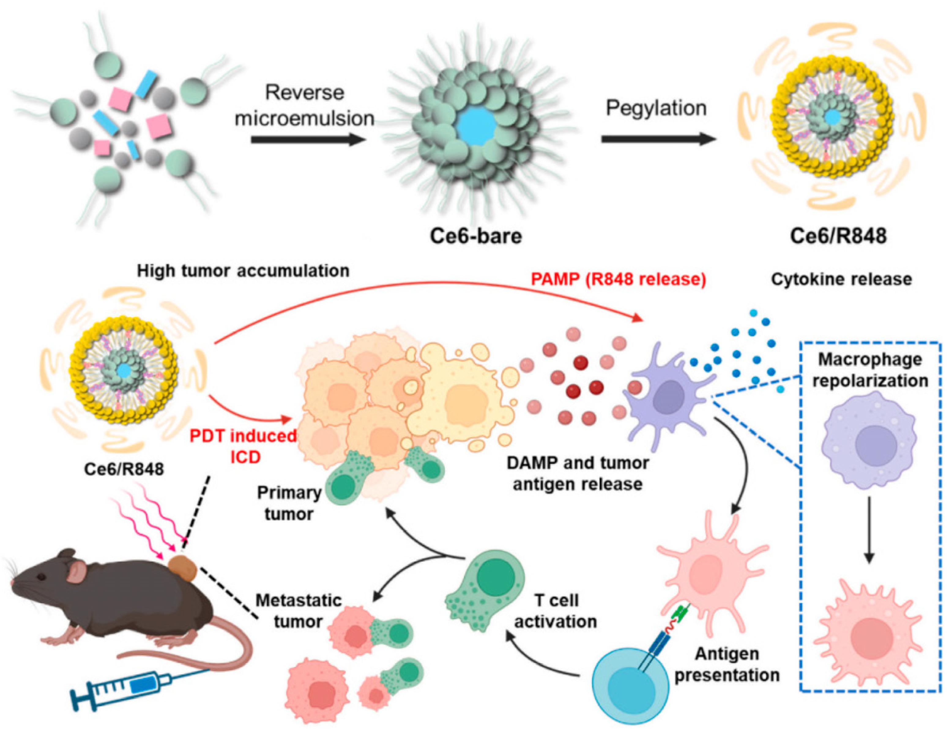 Nanomaterials 14 00648 g002