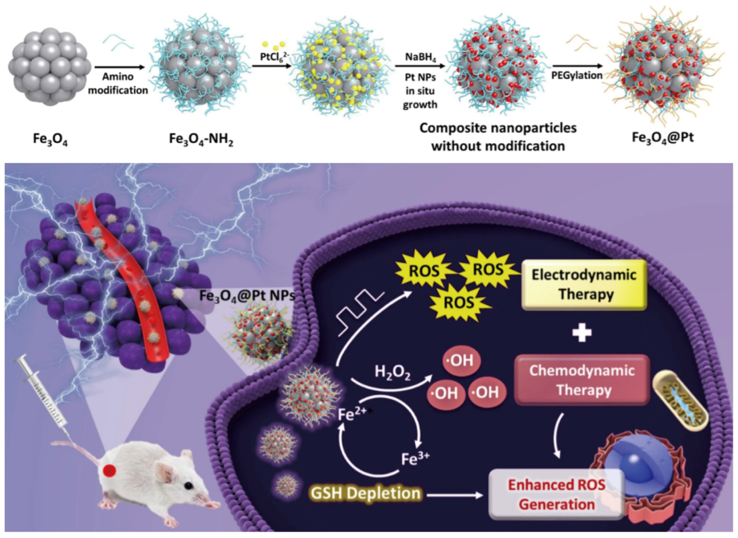 Nanomaterials 14 00648 g004