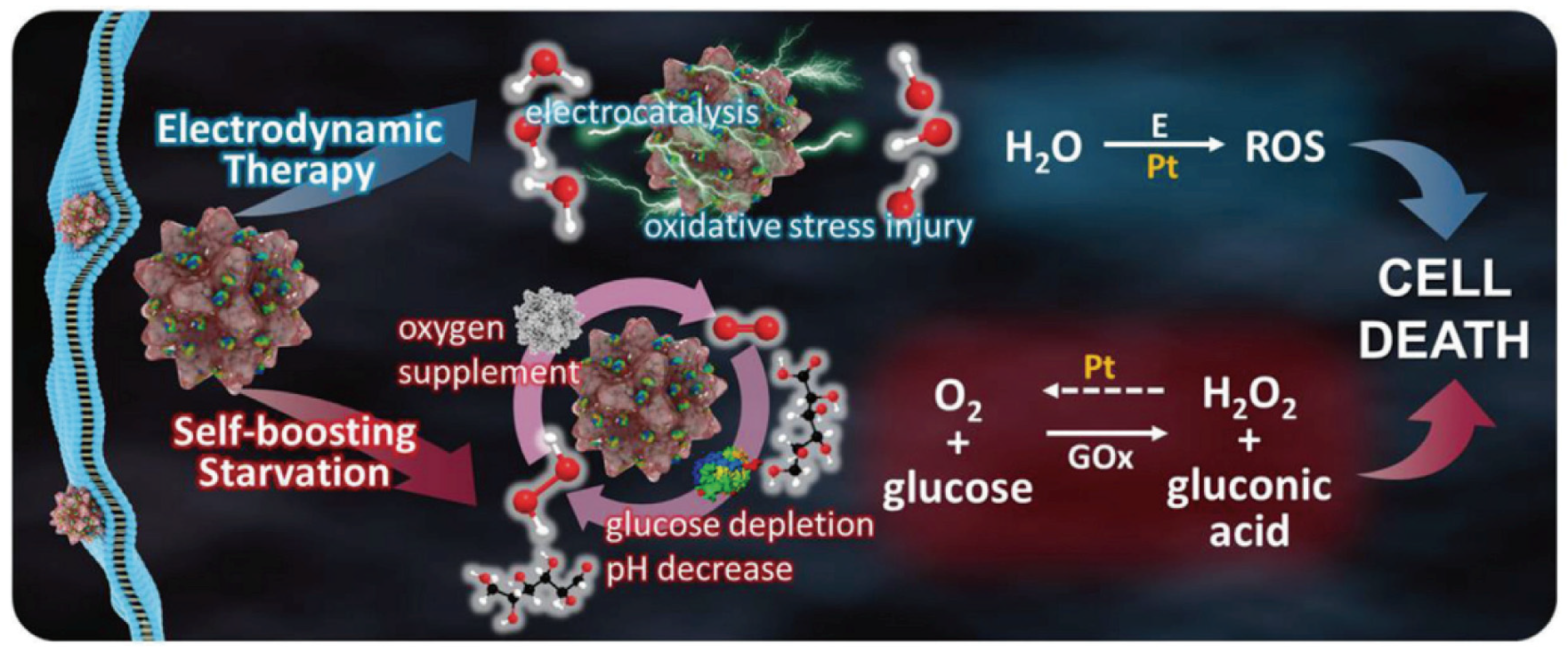 Nanomaterials 14 00648 g006