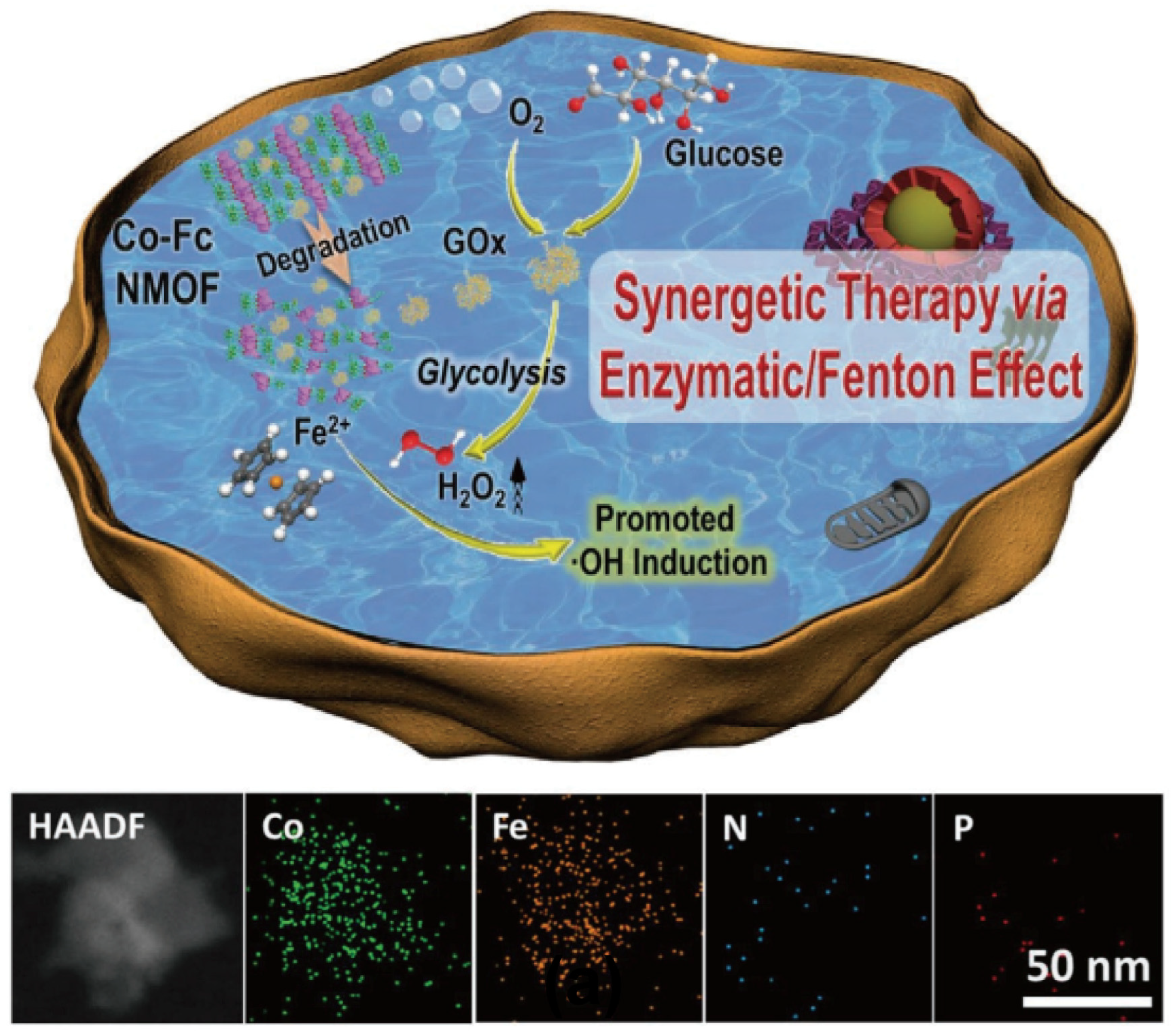 Nanomaterials 14 00648 g011