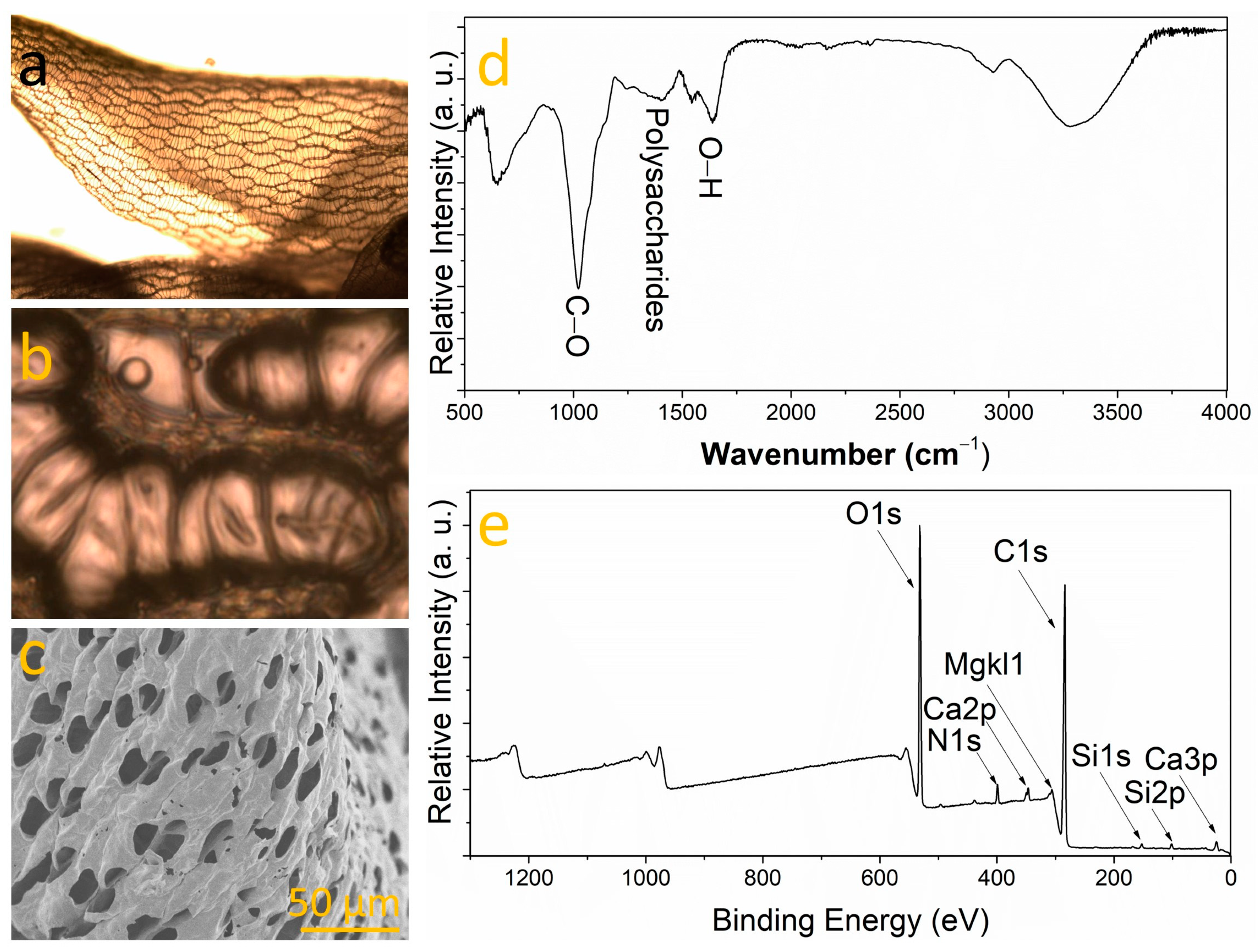 Nanomaterials 14 00658 g001