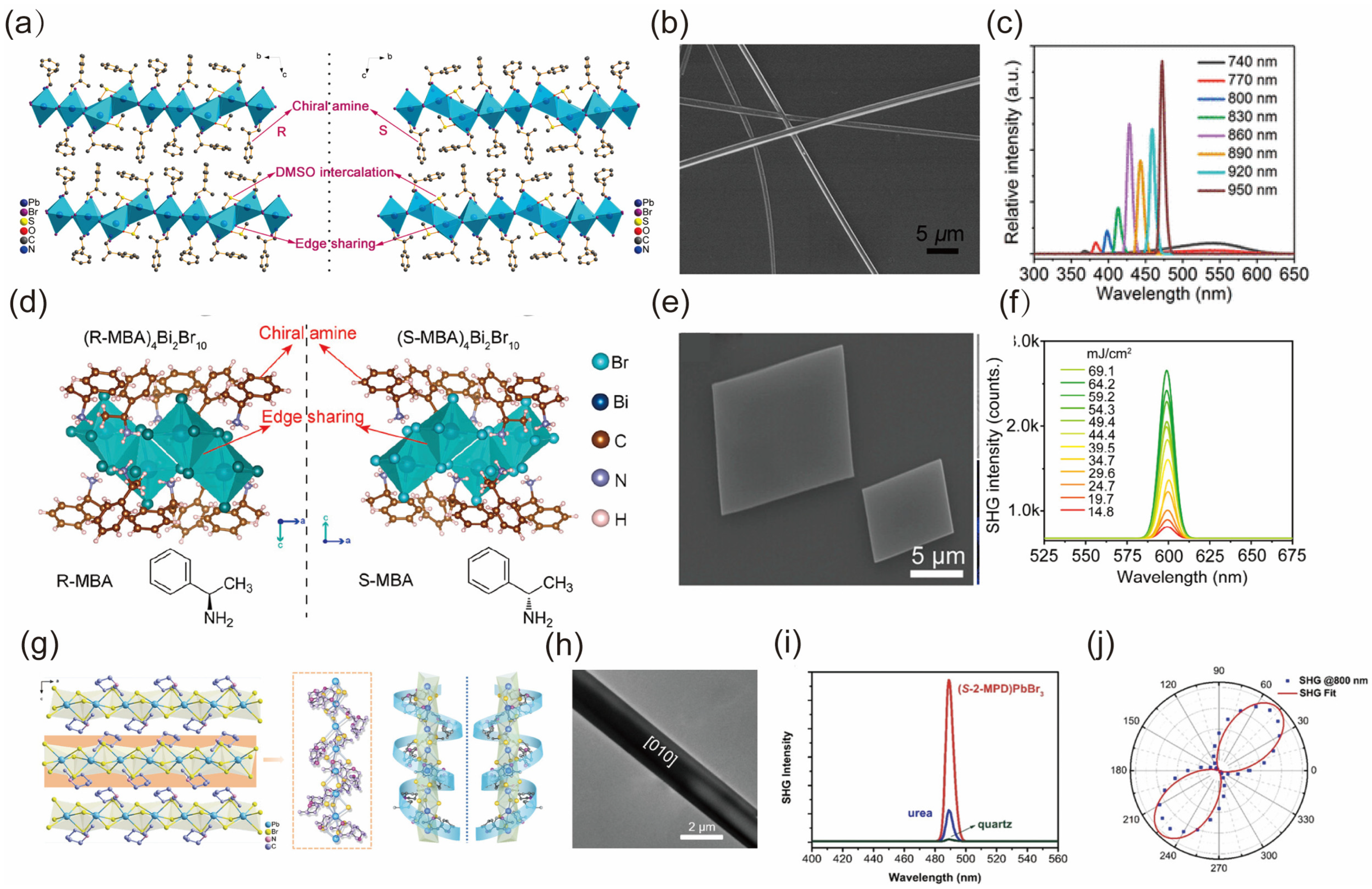 Nanomaterials 14 00662 g010