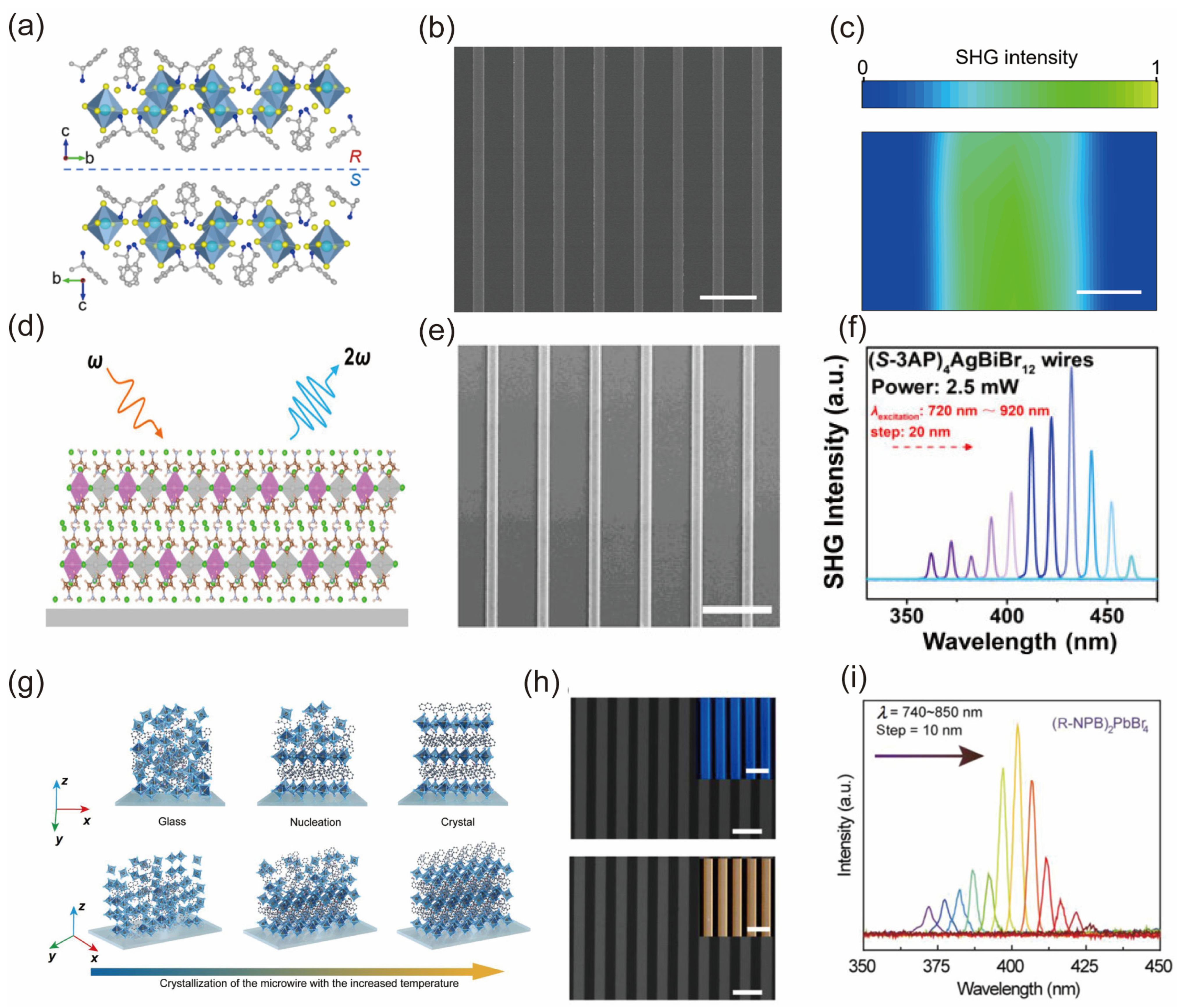 Nanomaterials 14 00662 g011