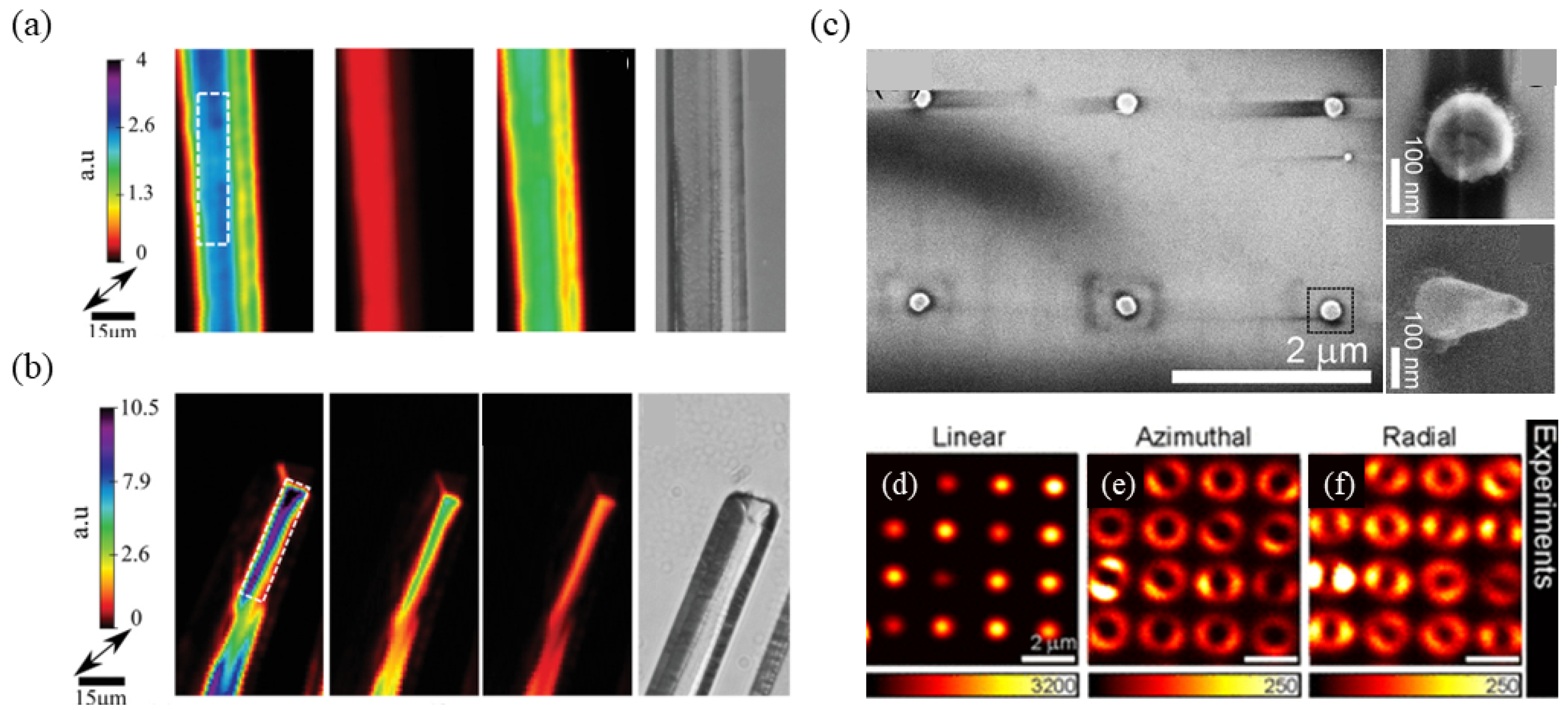 Nanomaterials 14 00662 g013