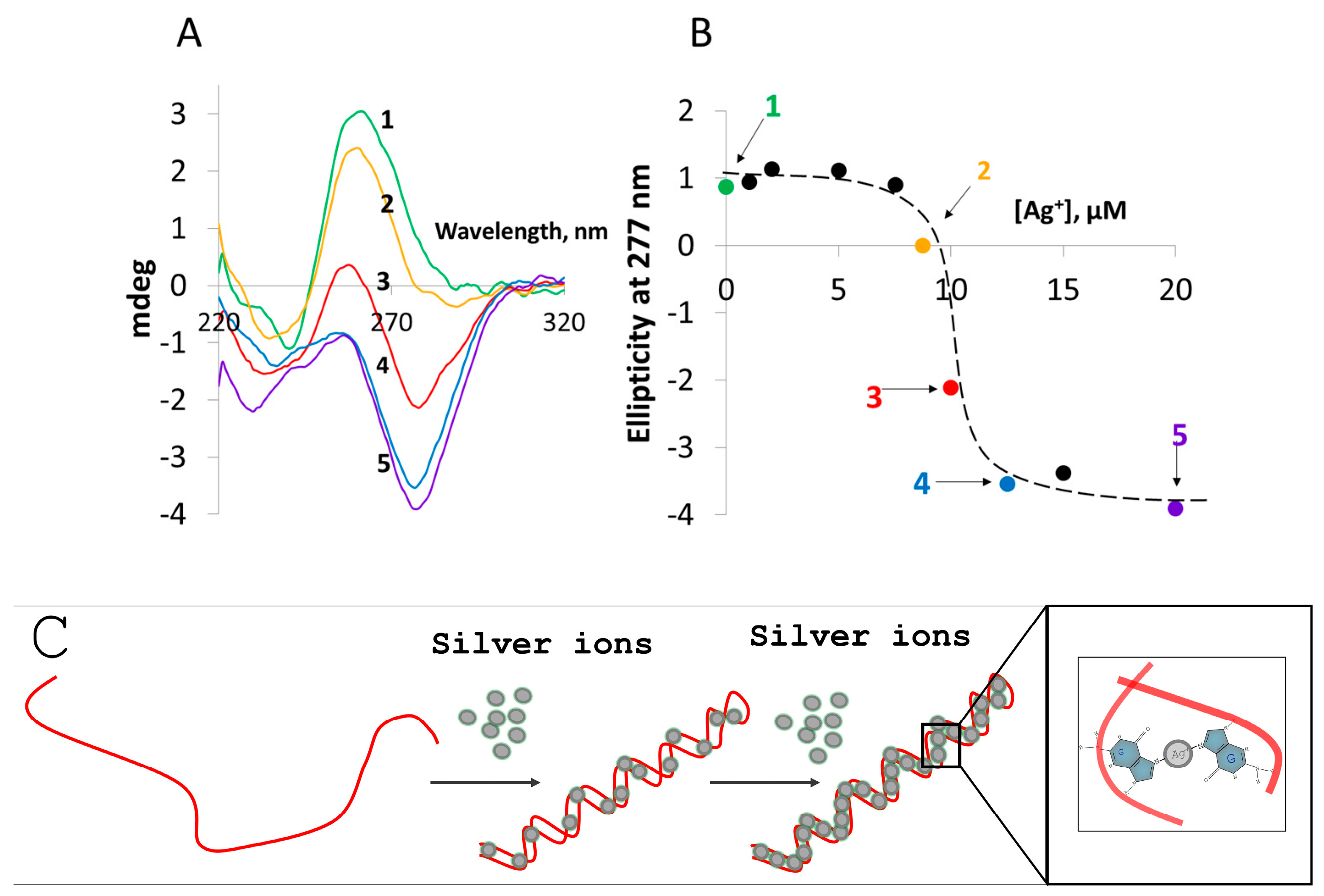 Nanomaterials 14 00663 g001
