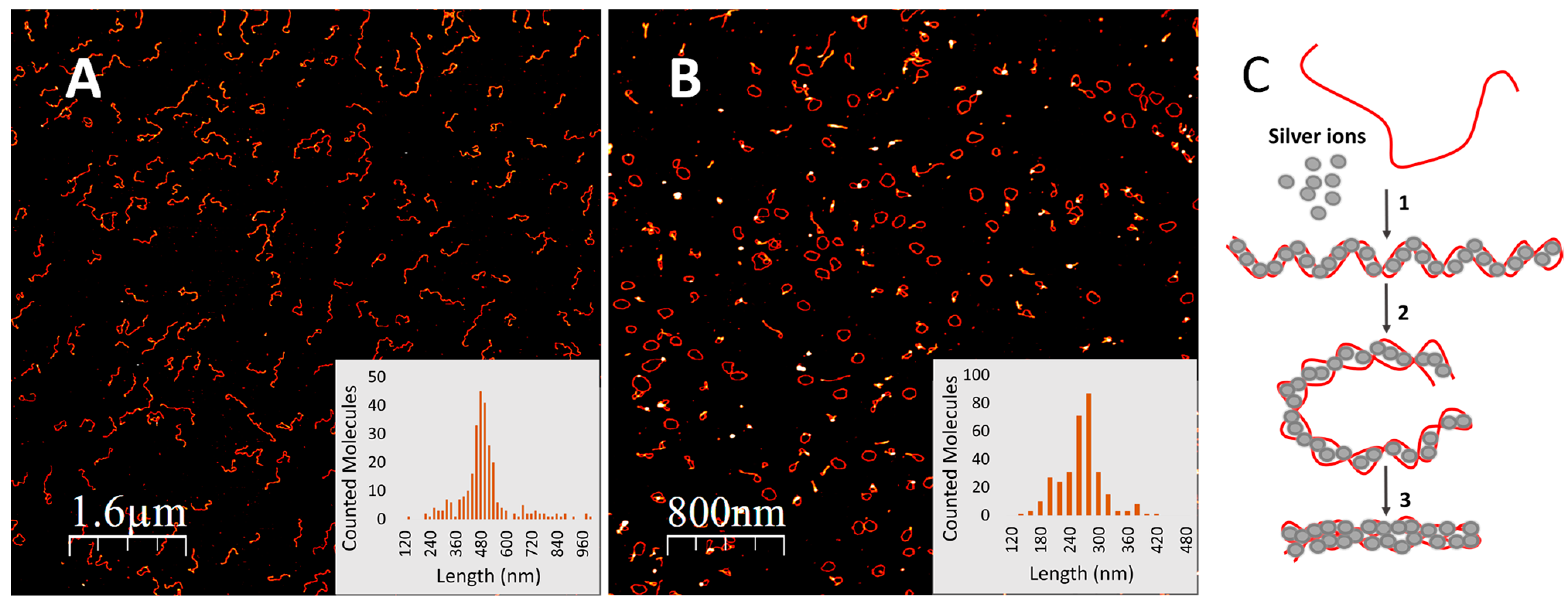 Nanomaterials 14 00663 g002
