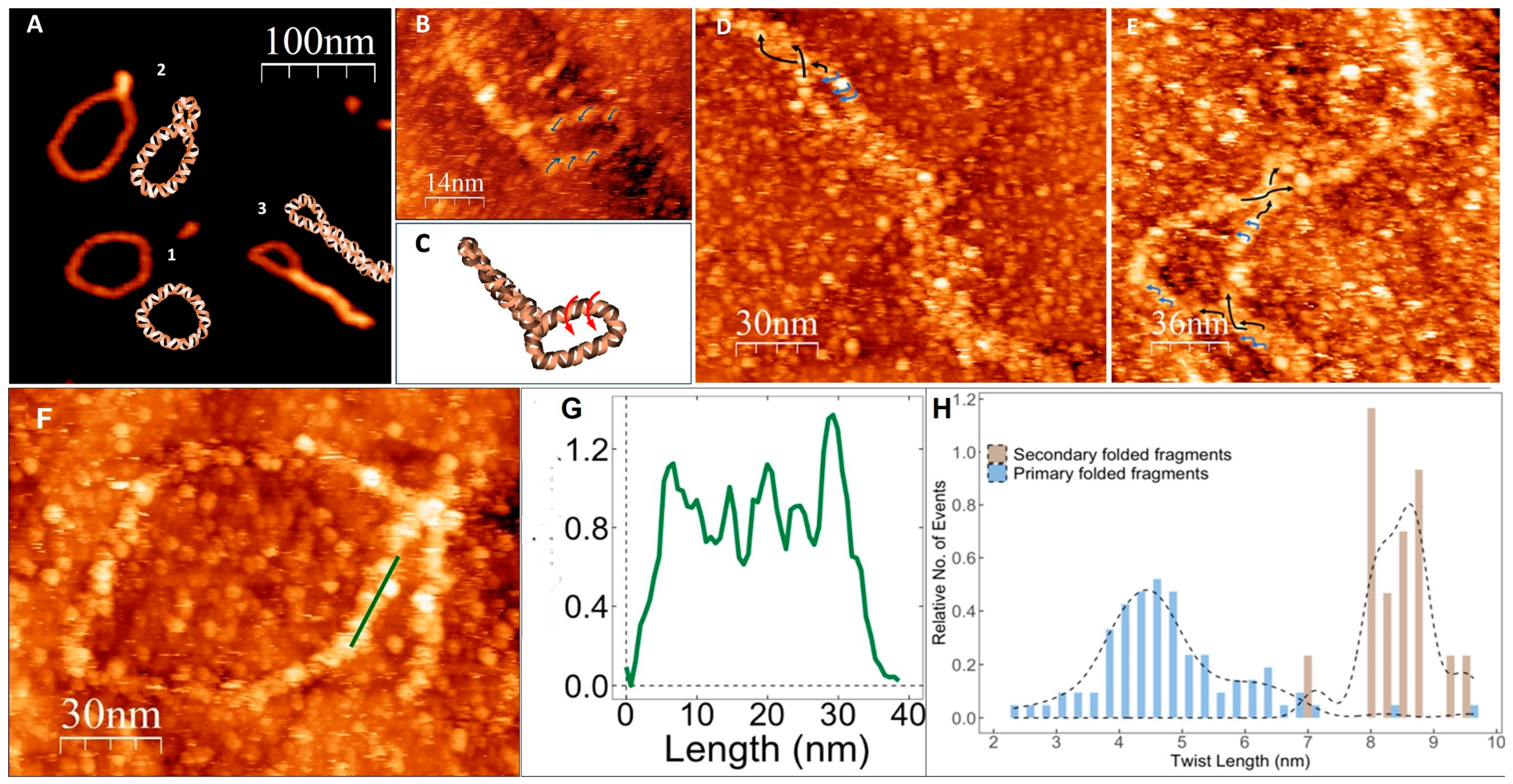 Nanomaterials 14 00663 g003