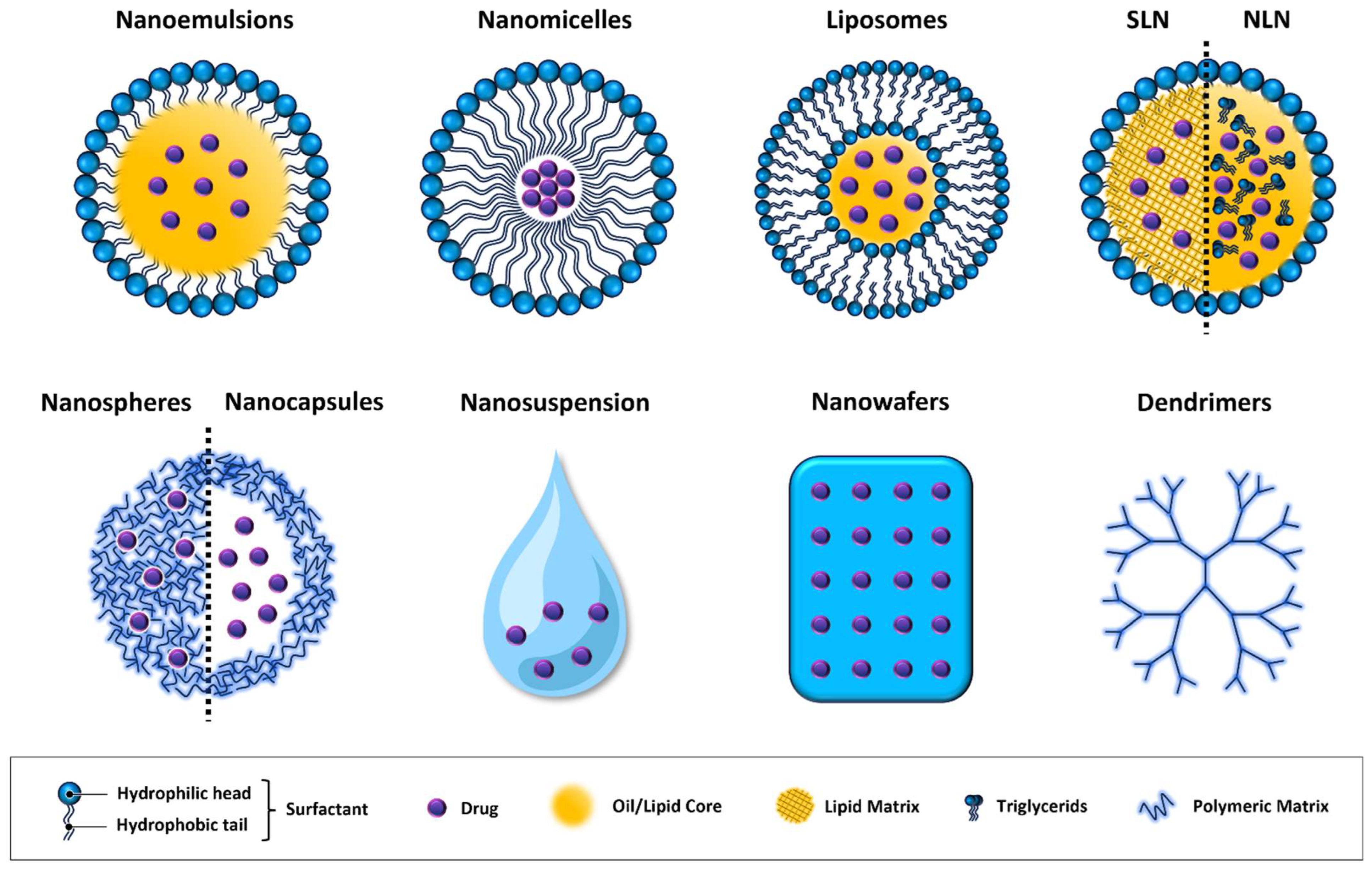 Nanomaterials 14 00669 g002