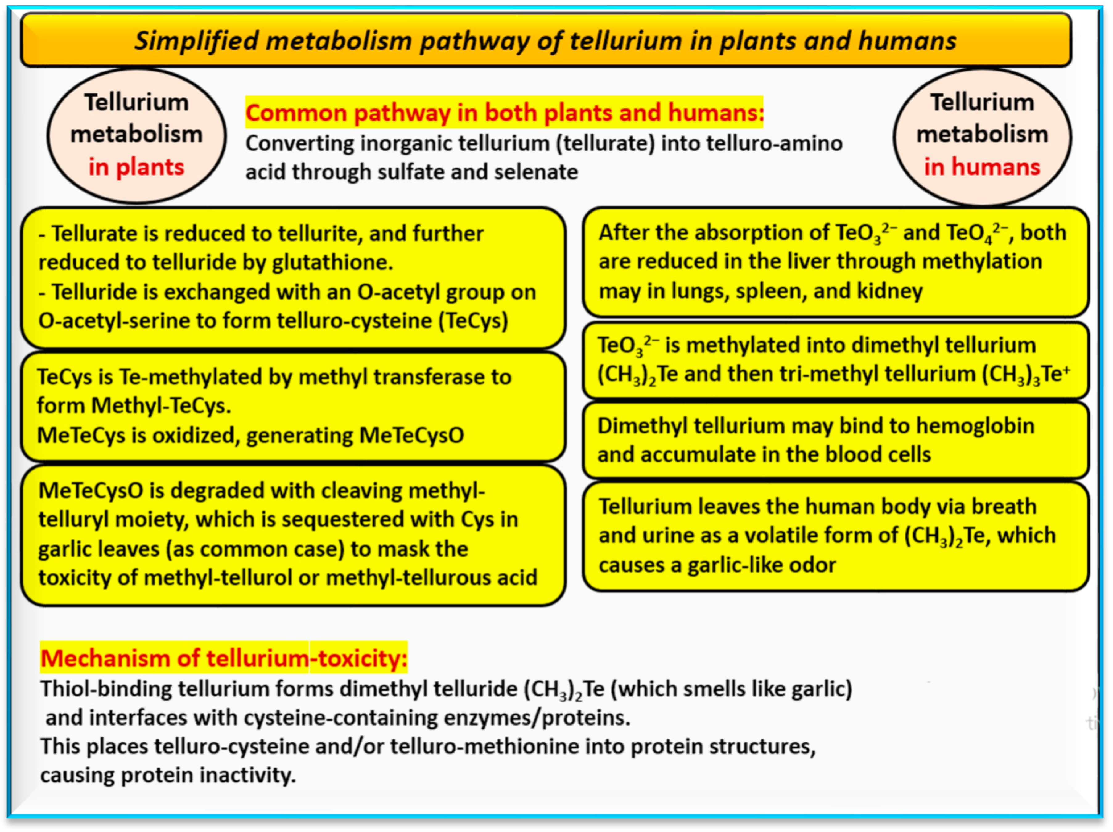 Nanomaterials 14 00670 g005