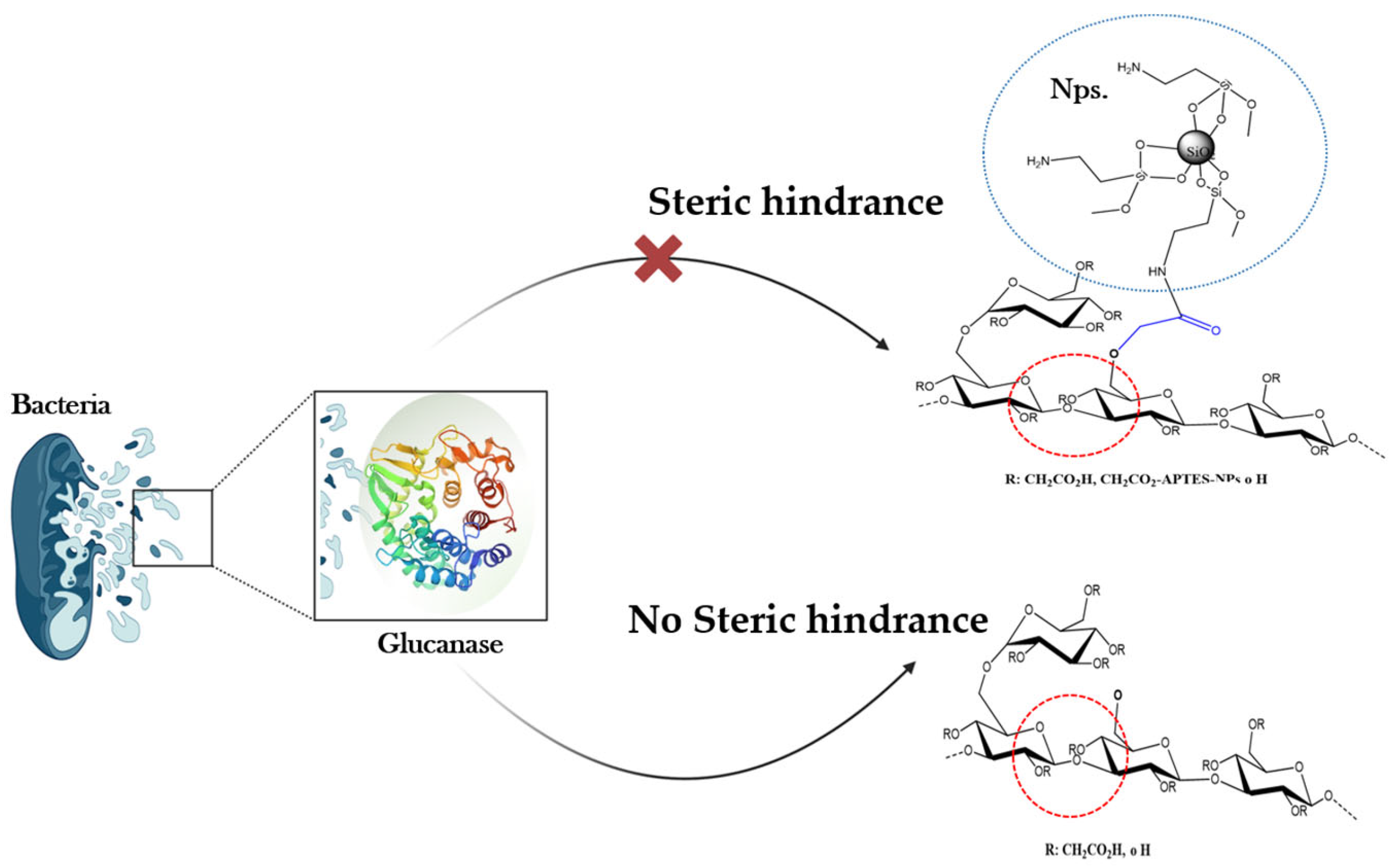 Nanomaterials 14 00676 g009