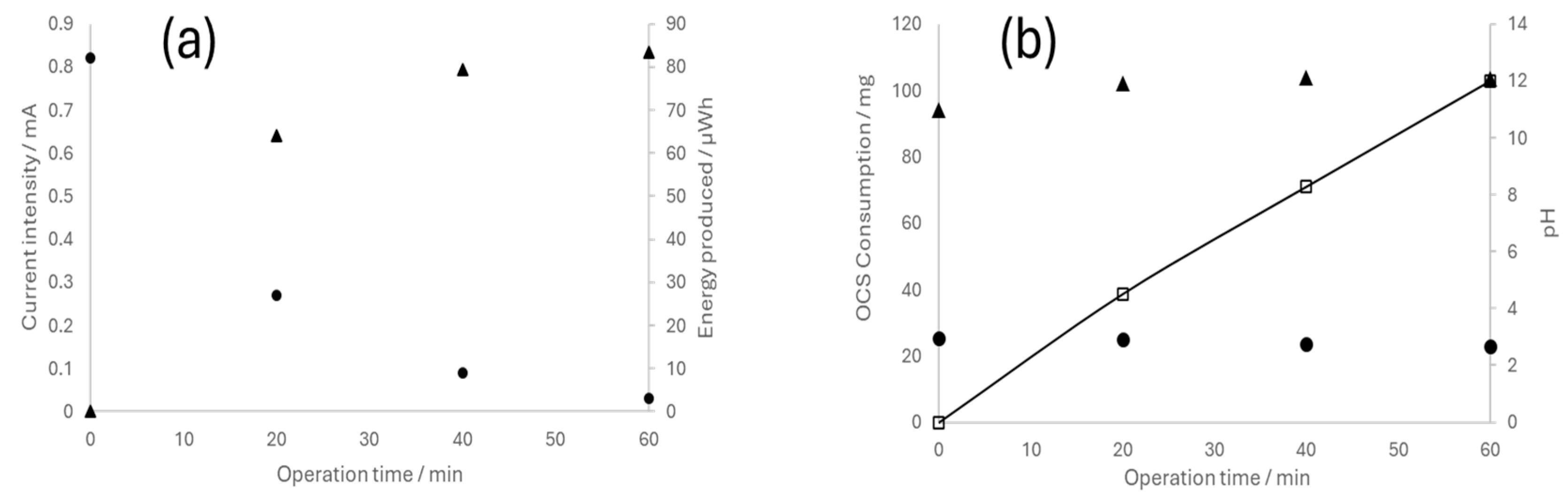 Nanomaterials 14 00693 g008