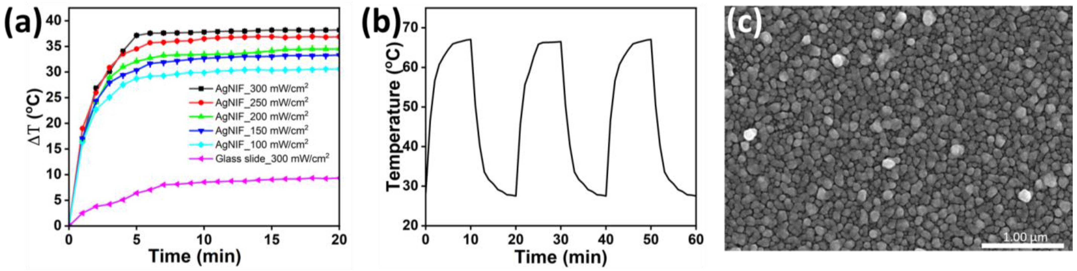 Nanomaterials 14 00695 g004