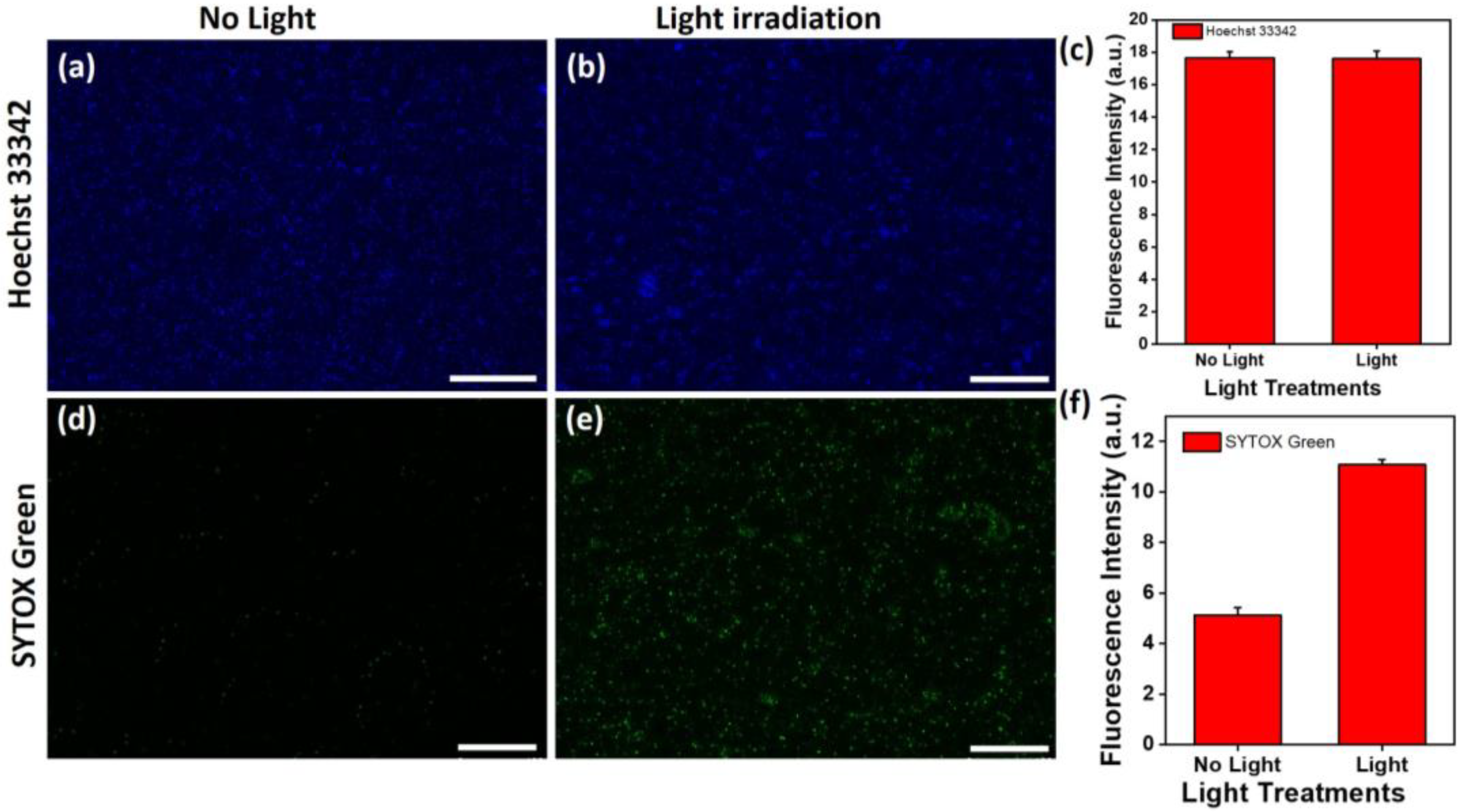 Nanomaterials 14 00695 g006