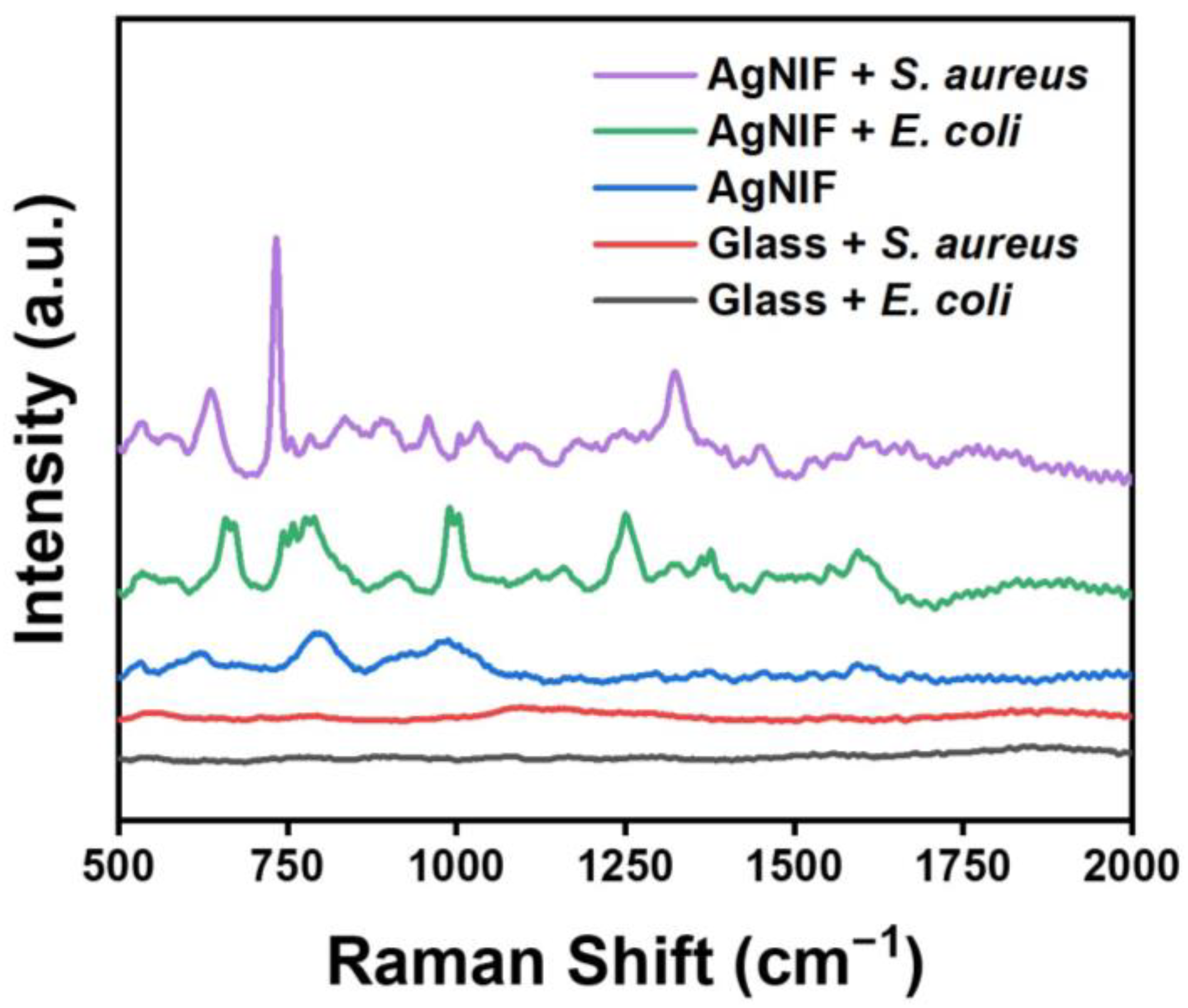 Nanomaterials 14 00695 g008