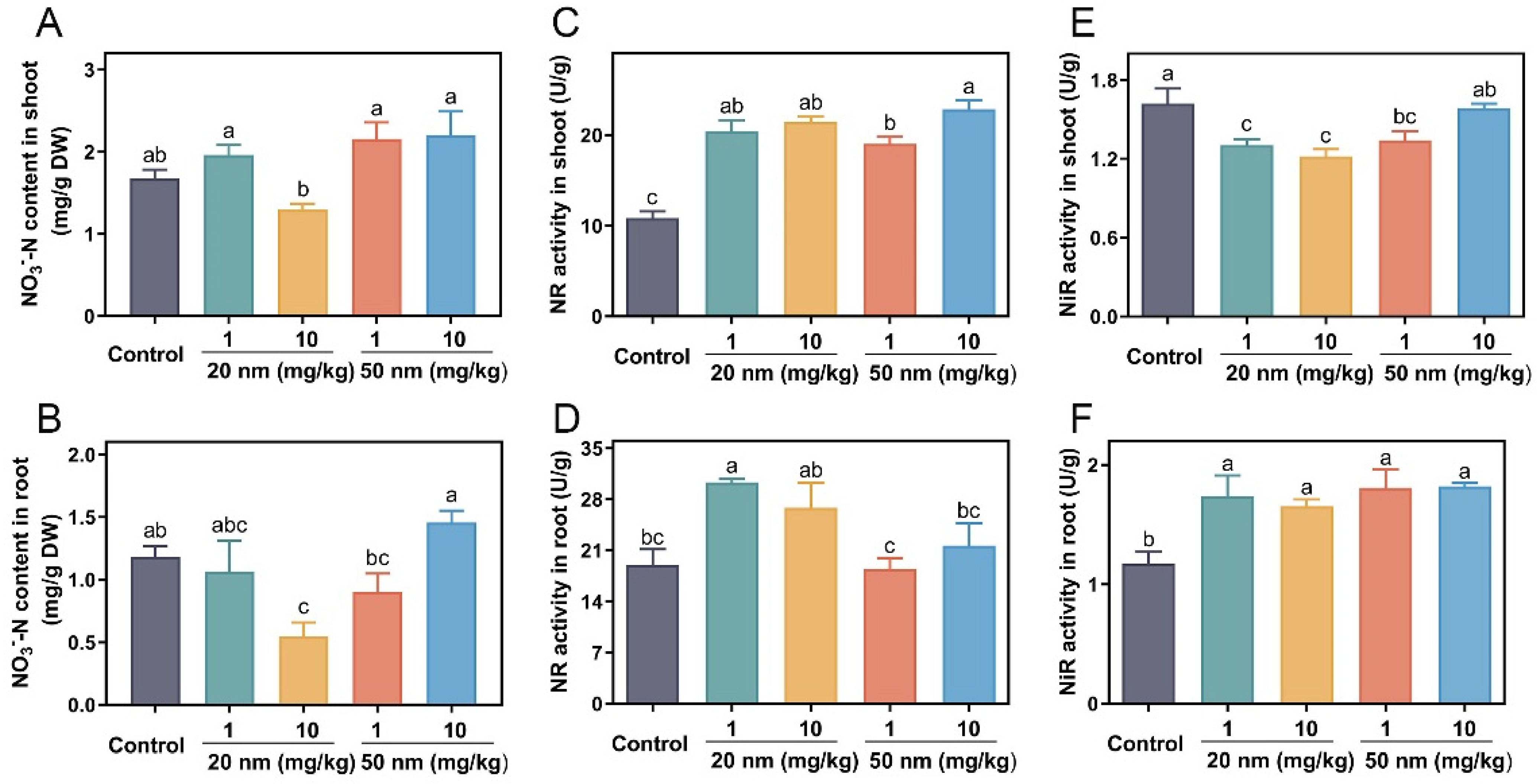 Nanomaterials 14 00746 g002
