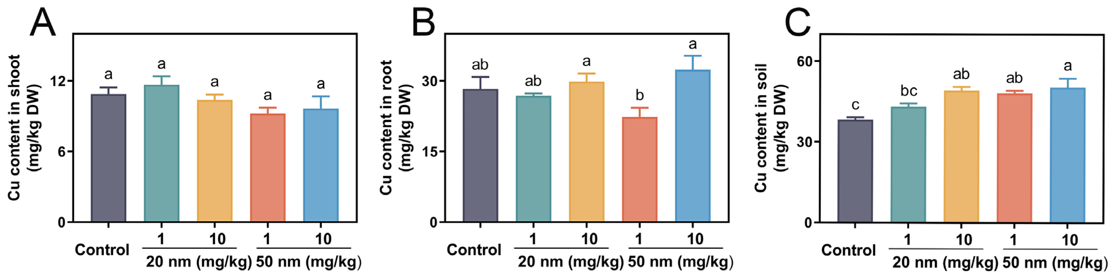 Nanomaterials 14 00746 g006