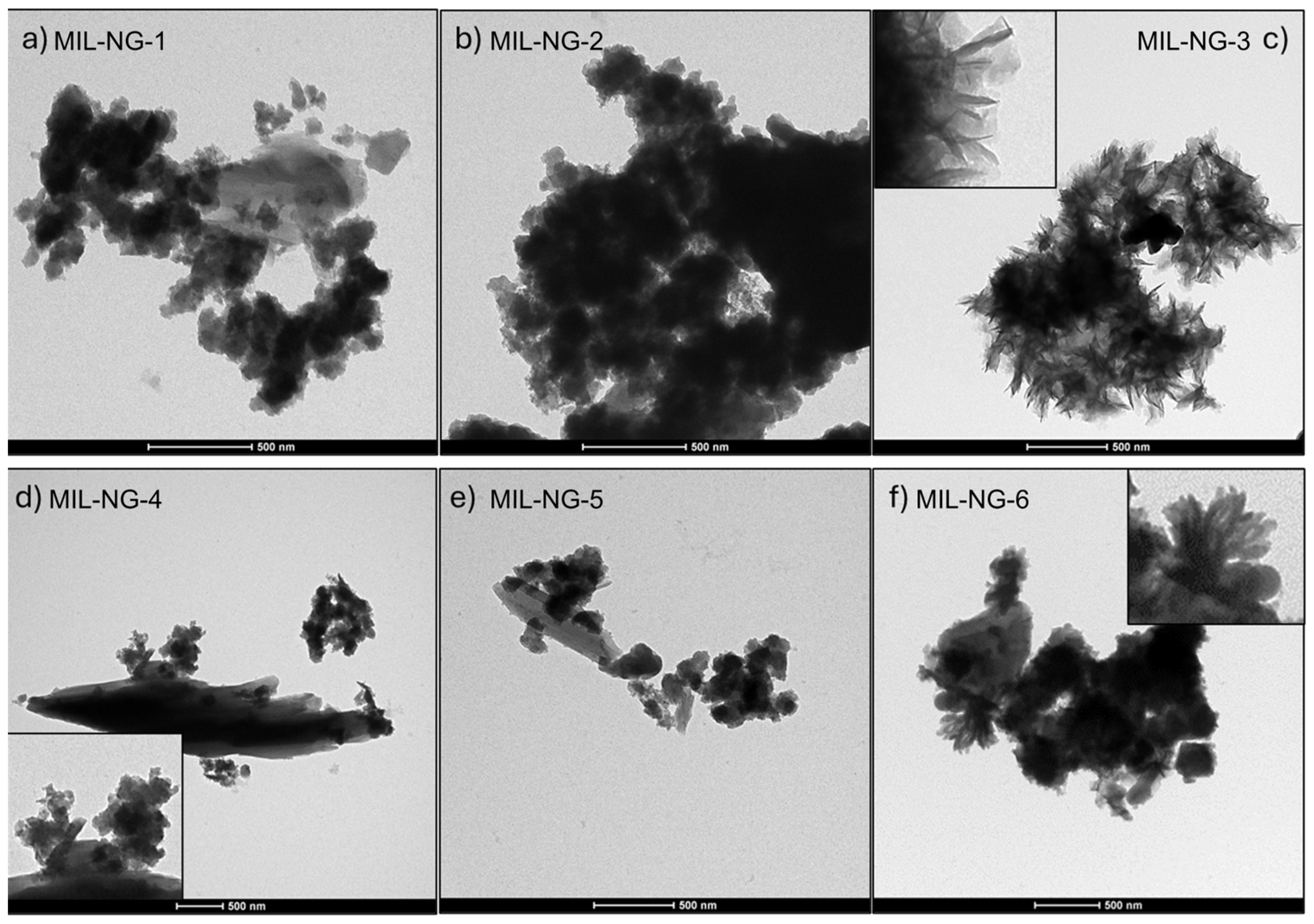 Nanomaterials 14 00751 g003