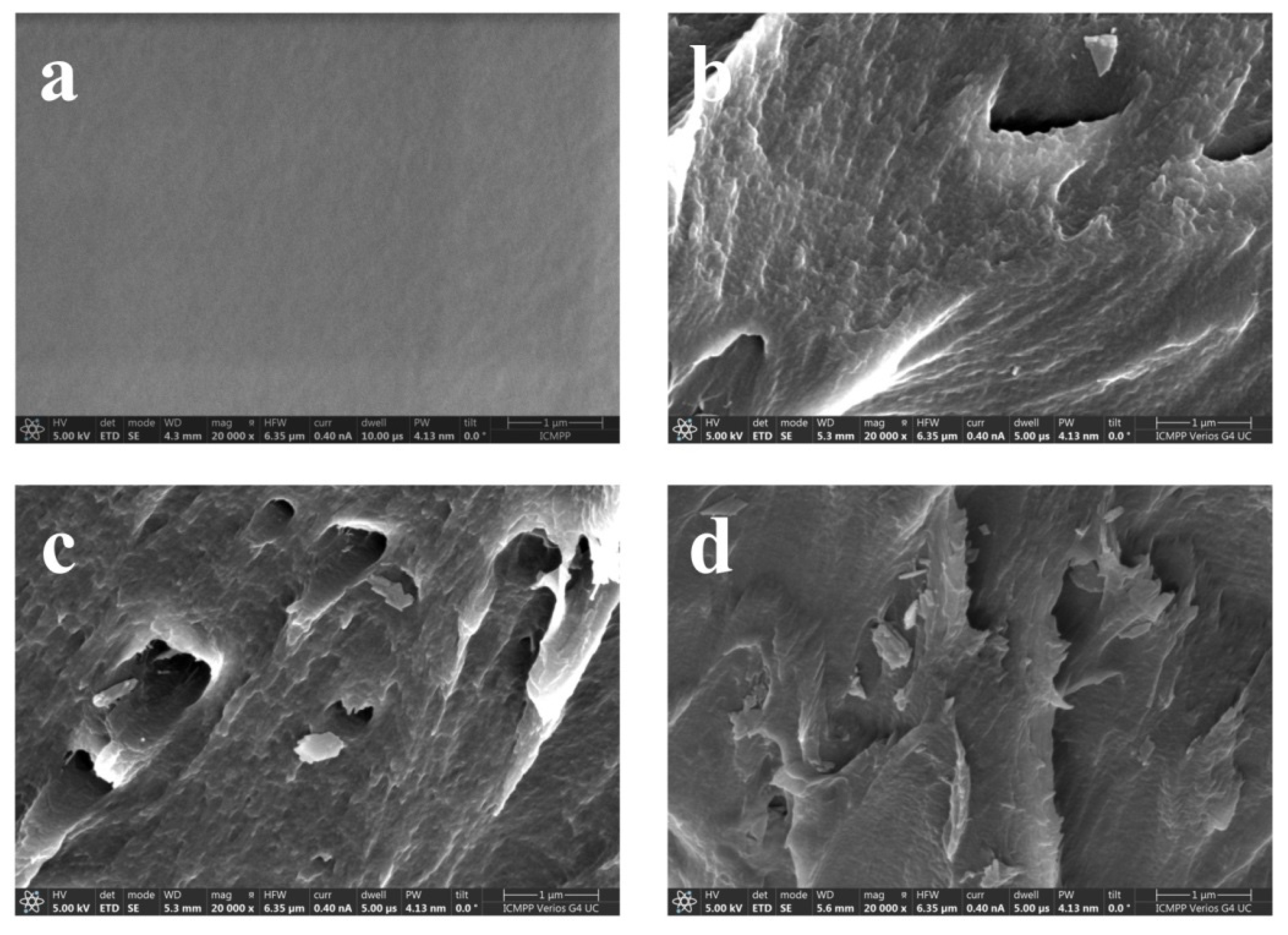 Nanomaterials 14 00759 g002