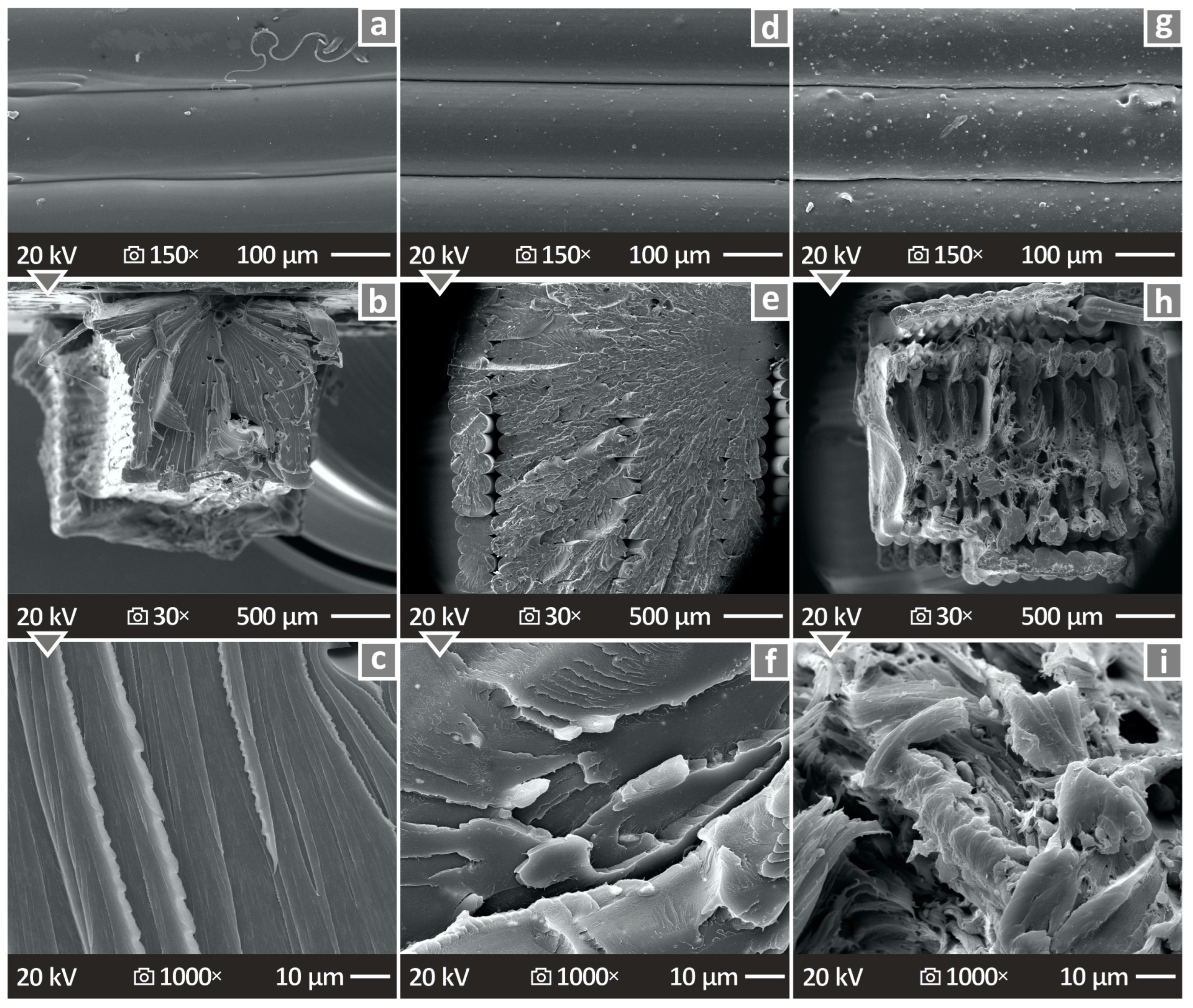 Nanomaterials 14 00761 g014