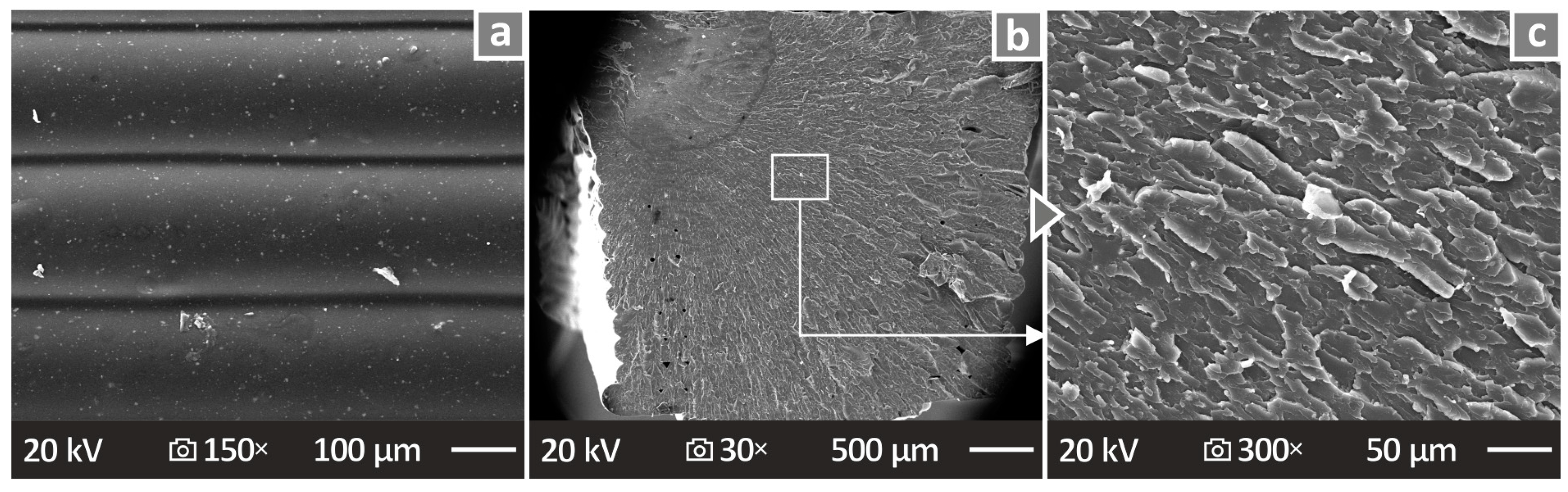 Nanomaterials 14 00761 g015