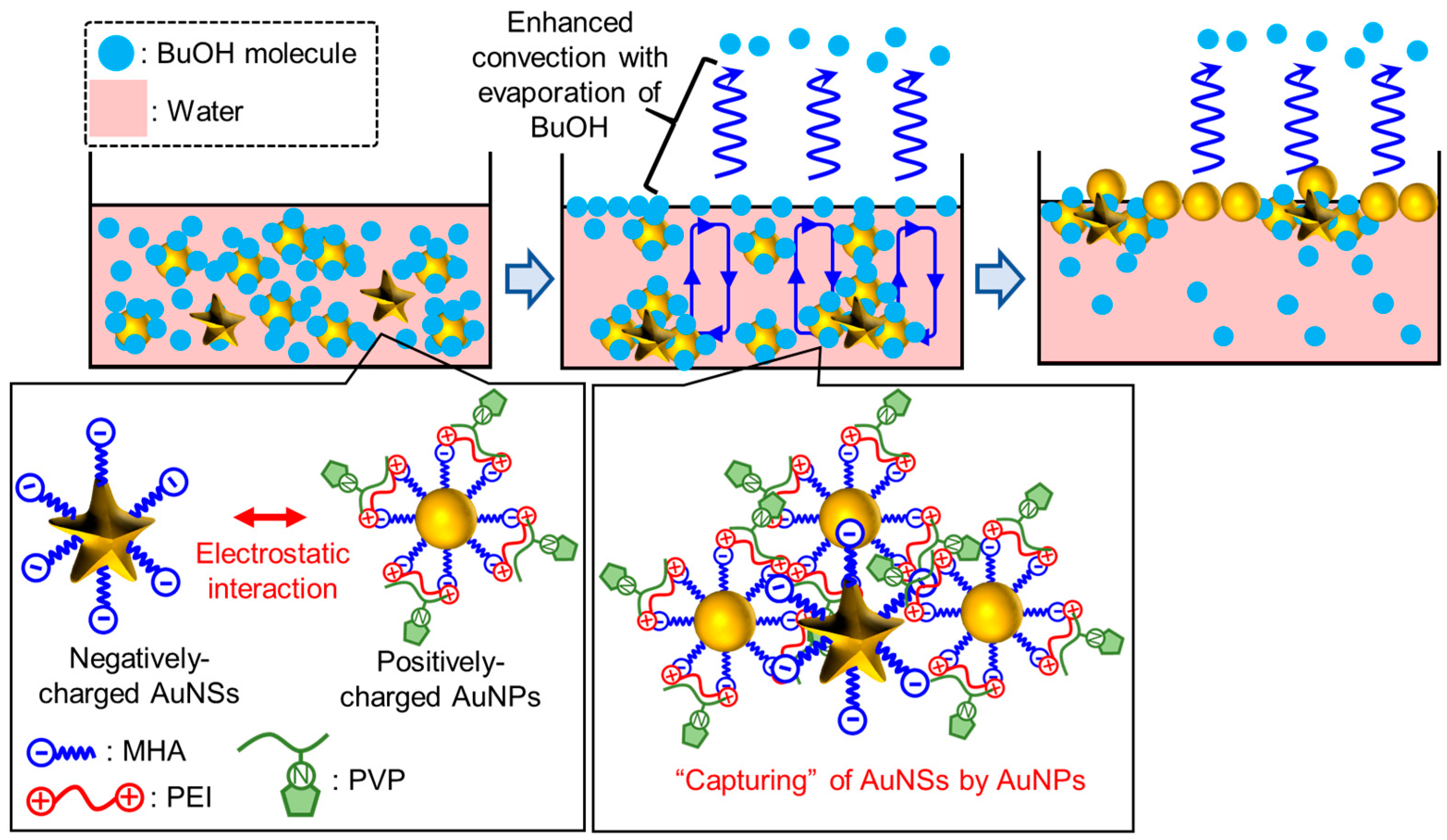Nanomaterials 14 00764 sch001