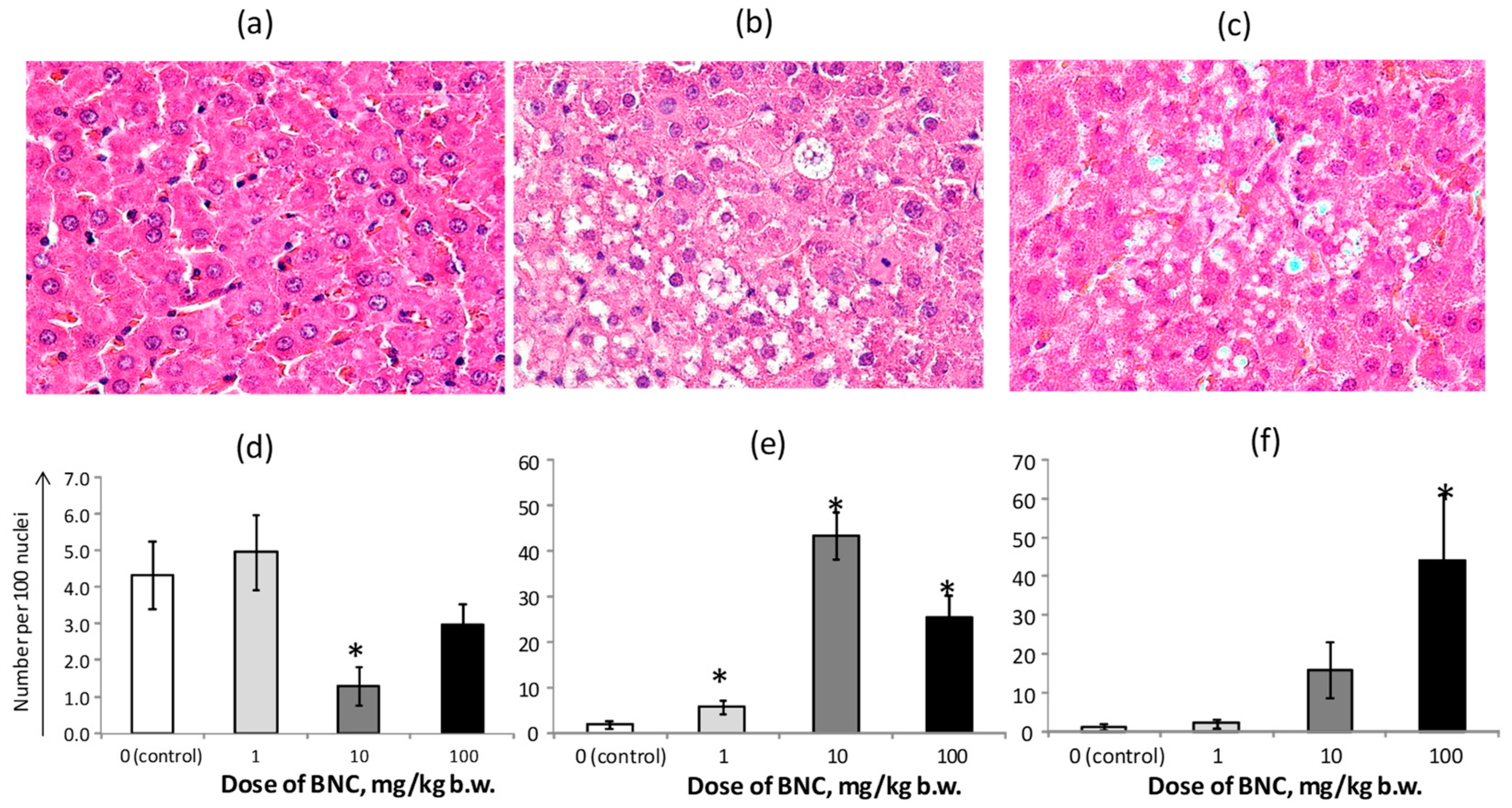 Nanomaterials 14 00768 g006 Nanomaterials 14 00768 g006
