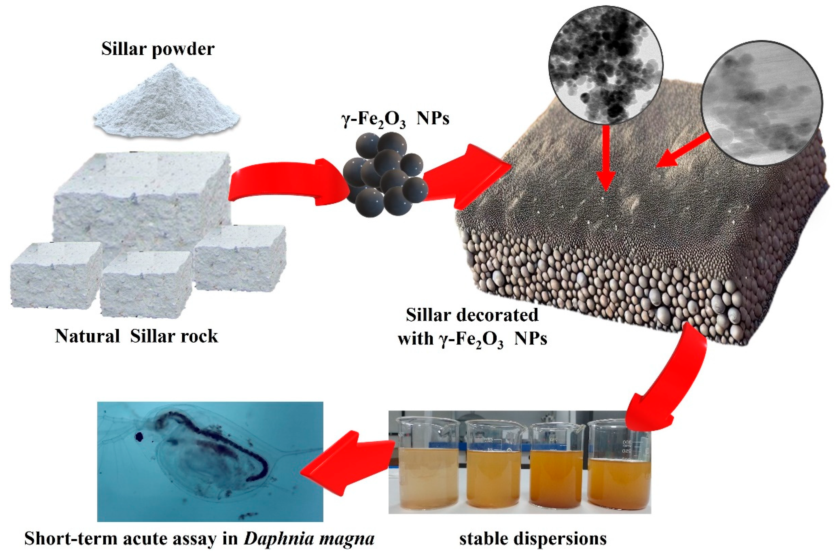 Nanomaterials 14 00785 sch001