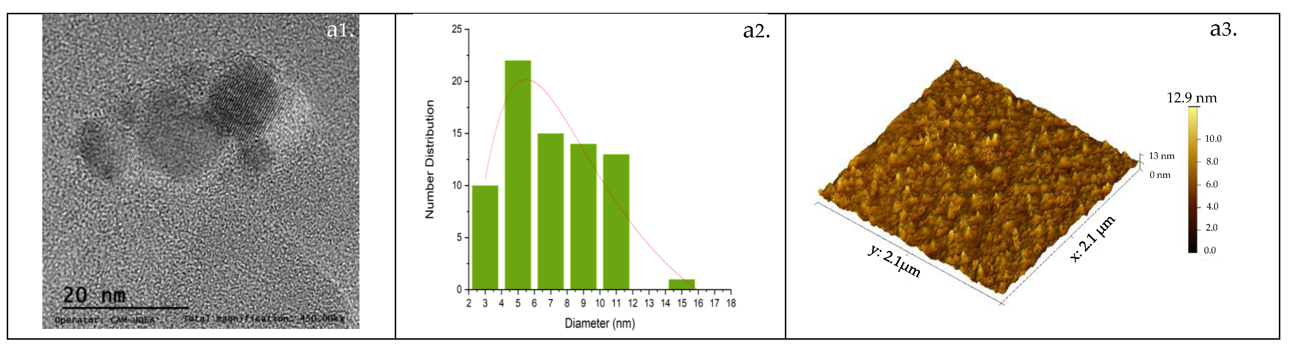 Nanomaterials 14 00789 g003a