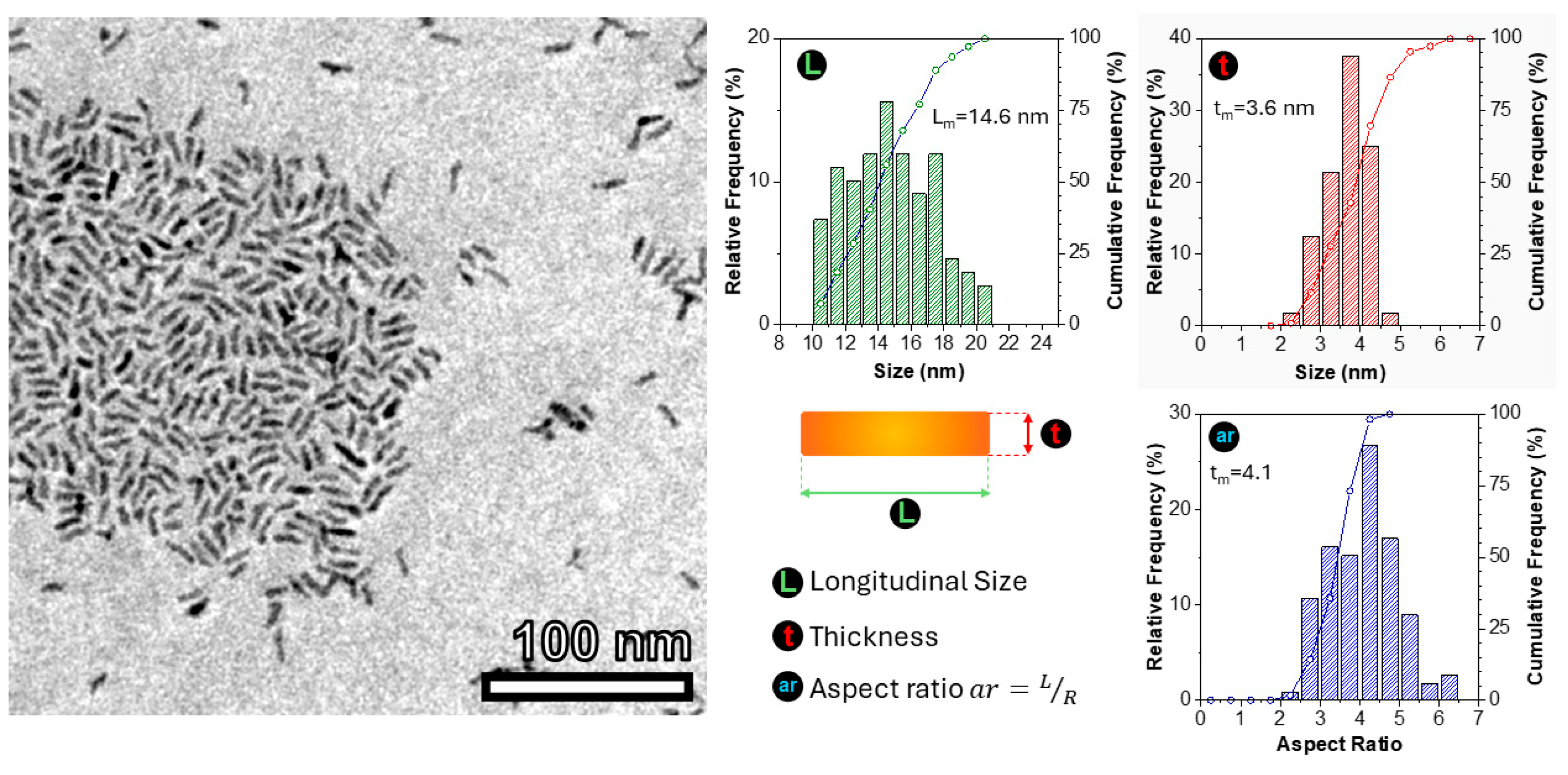Nanomaterials 14 00794 g002