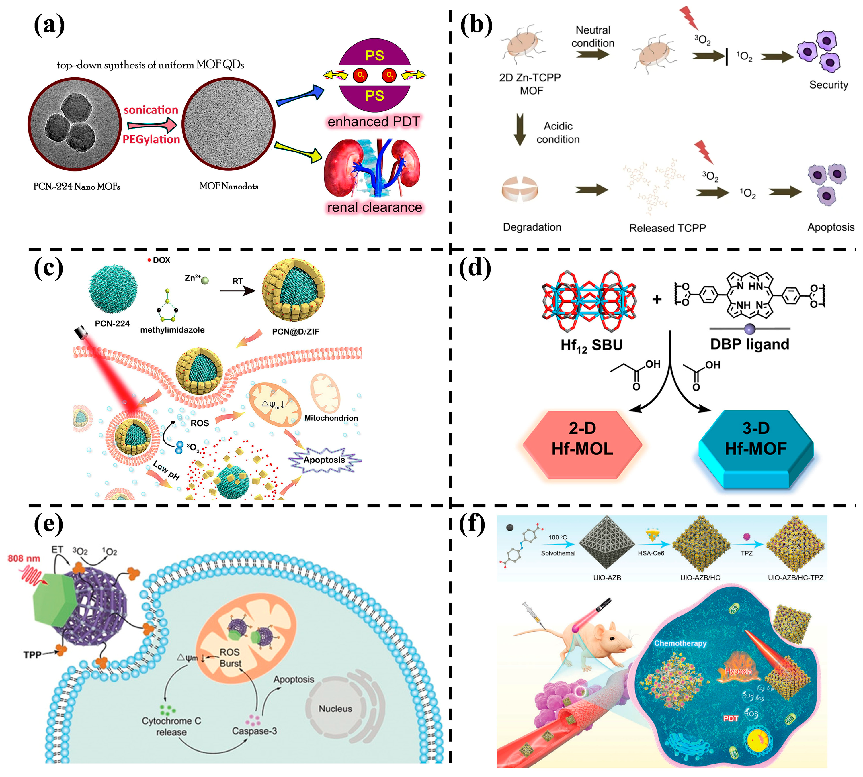 Nanomaterials 14 00797 g007