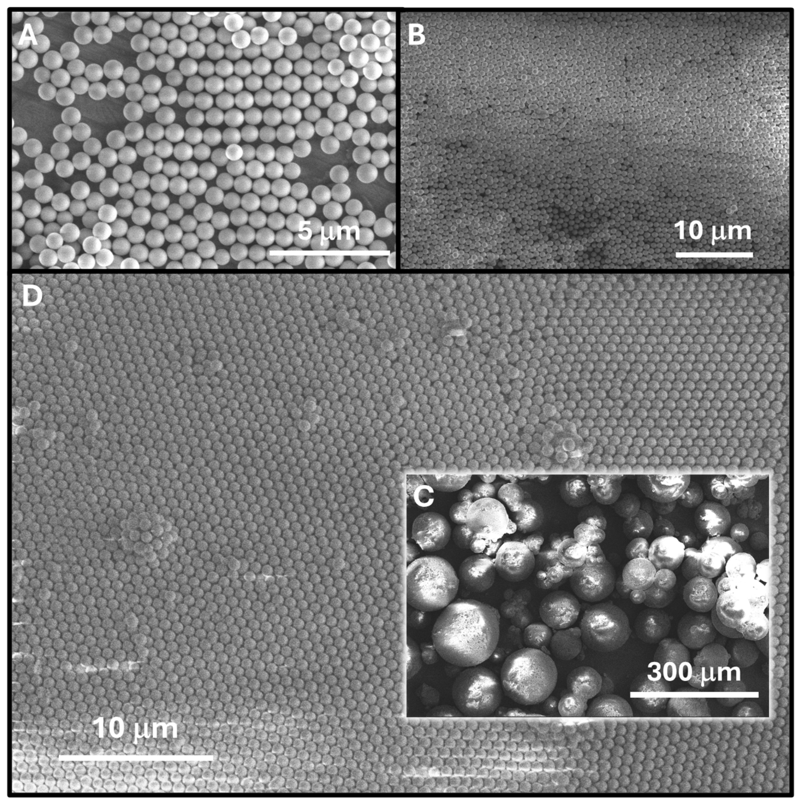 Nanomaterials 14 00809 g001