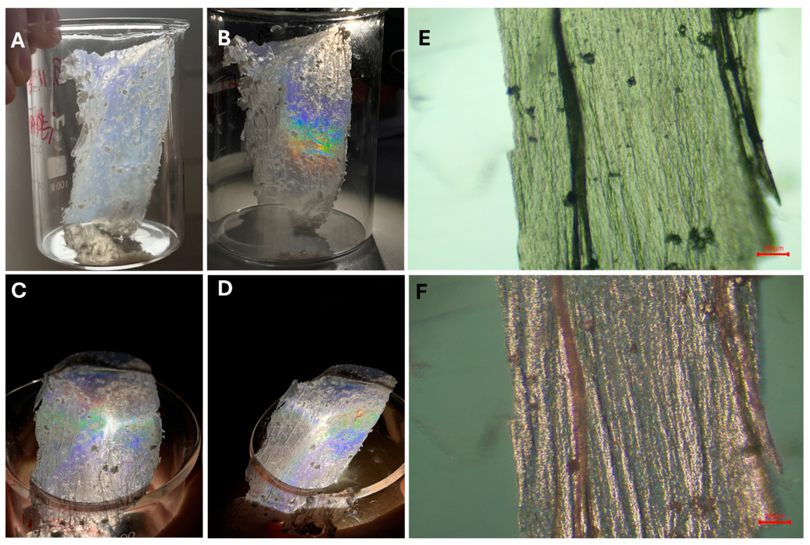 Nanomaterials 14 00809 g005