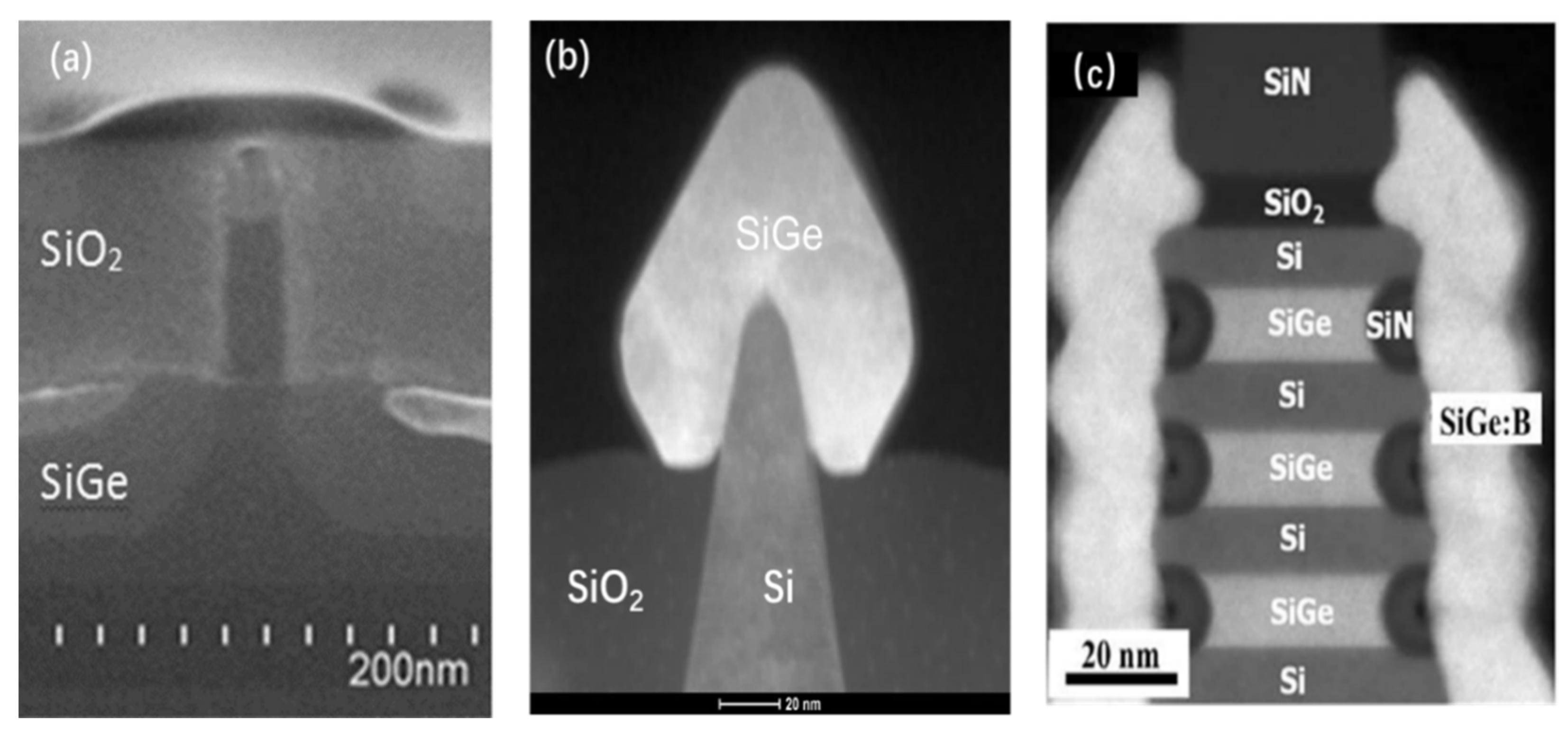 Nanomaterials 14 00837 g015