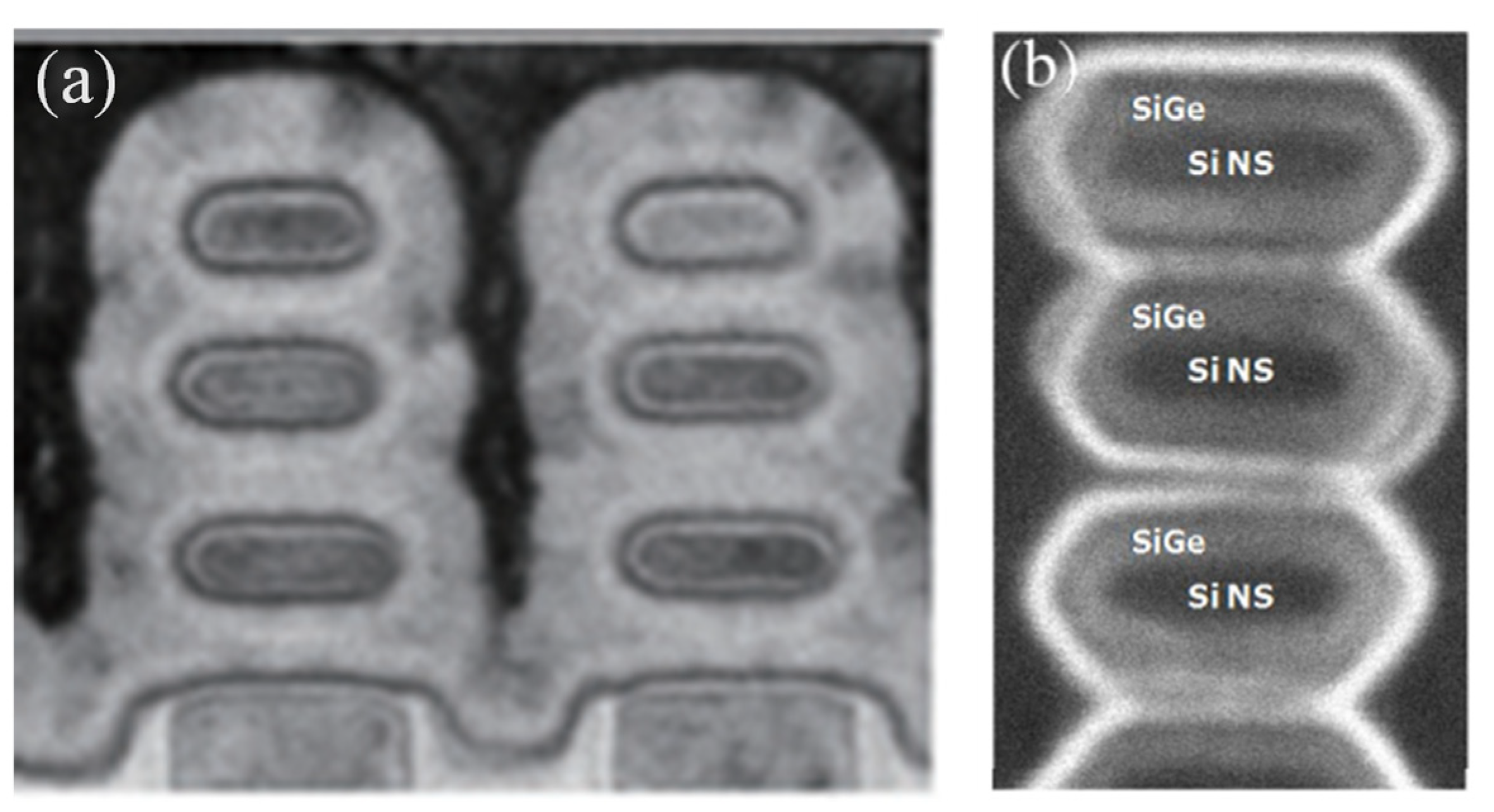 Nanomaterials 14 00837 g022