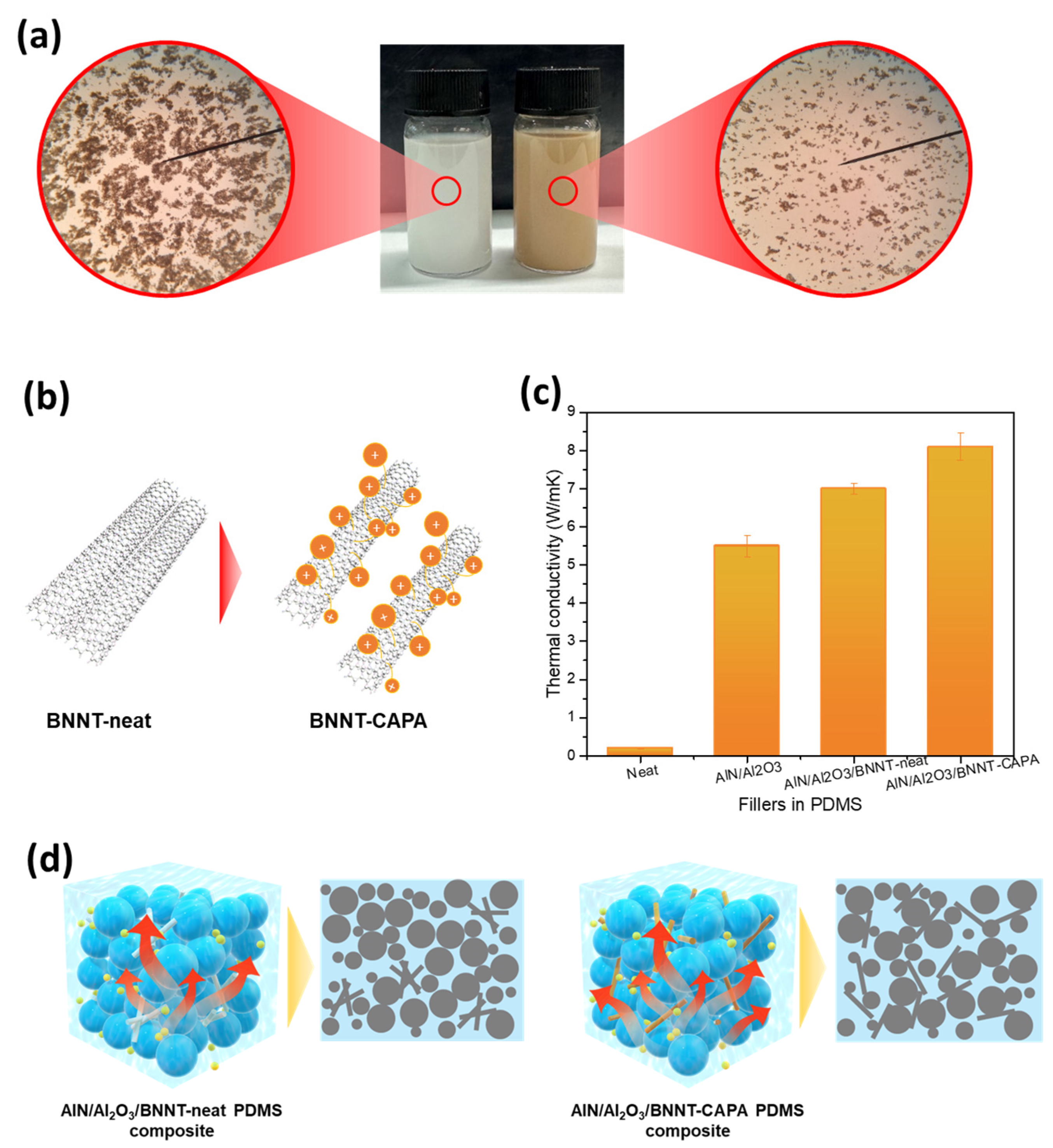 Nanomaterials 14 00847 g004