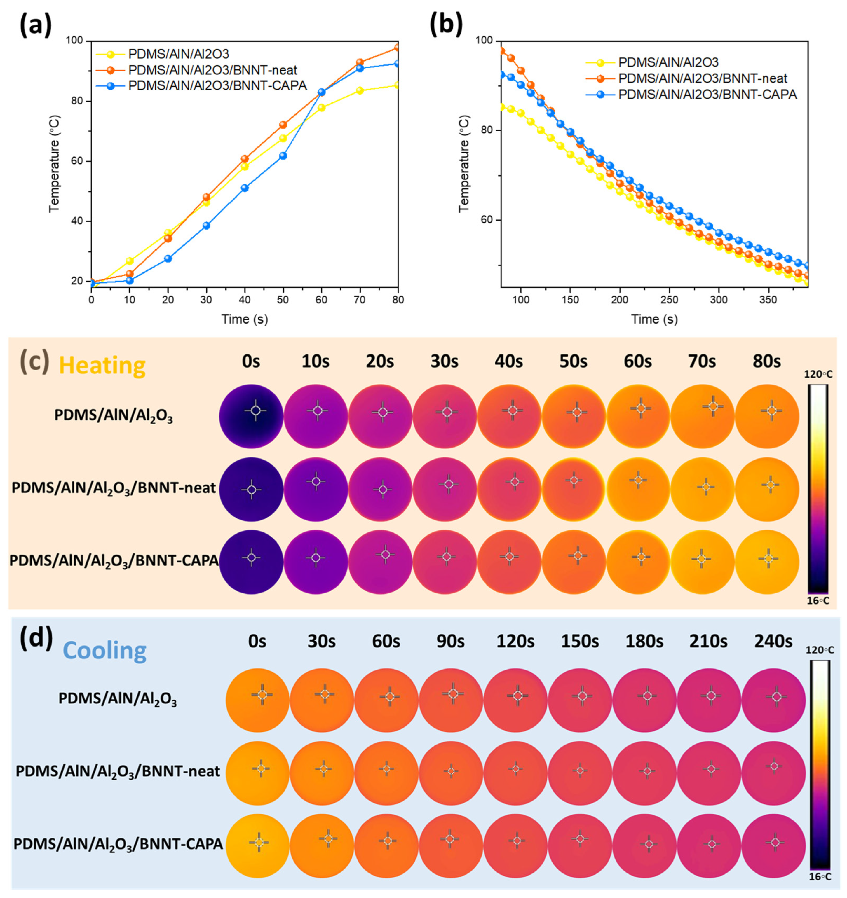 Nanomaterials 14 00847 g006