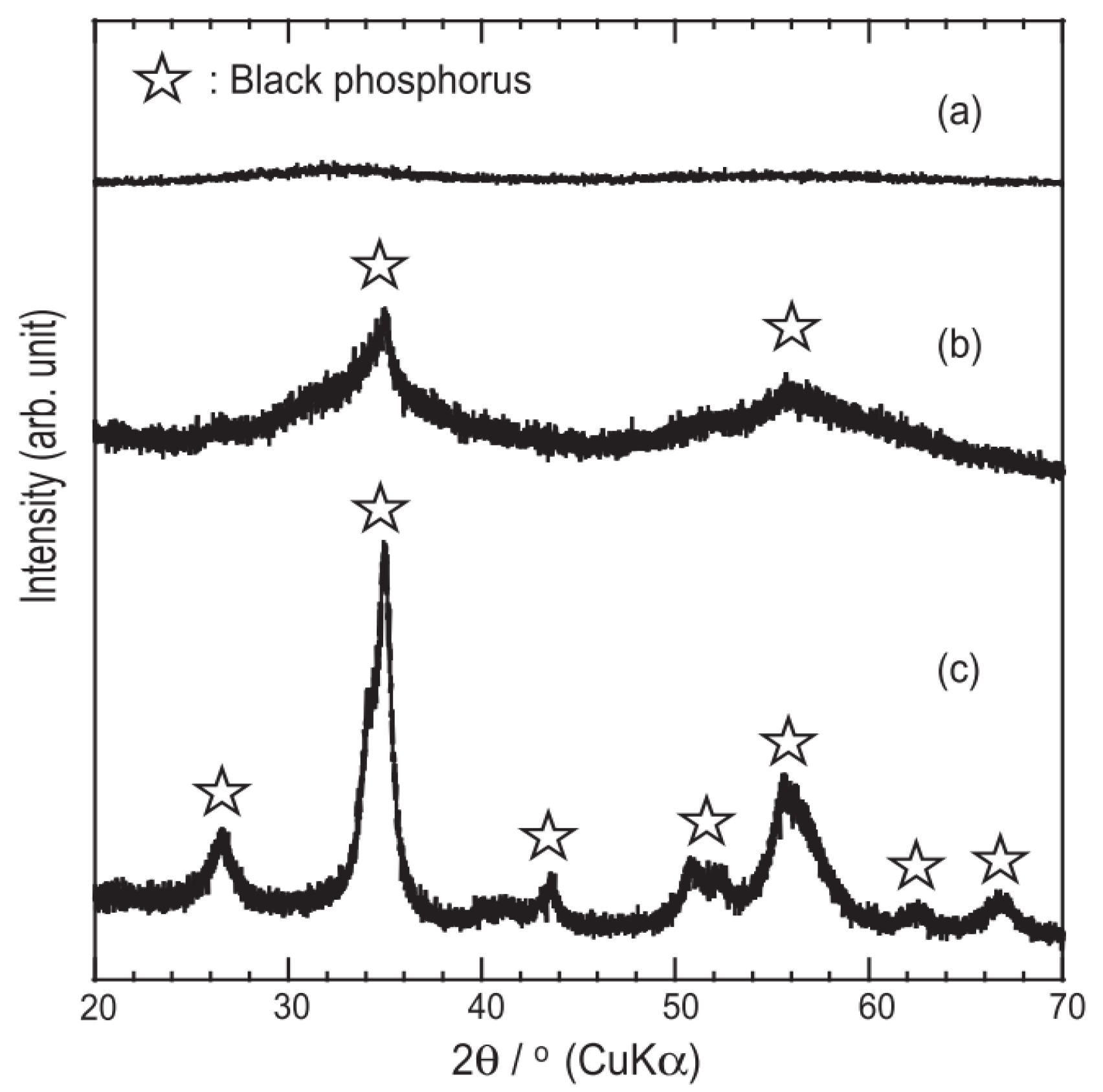 Nanomaterials 14 00892 g001