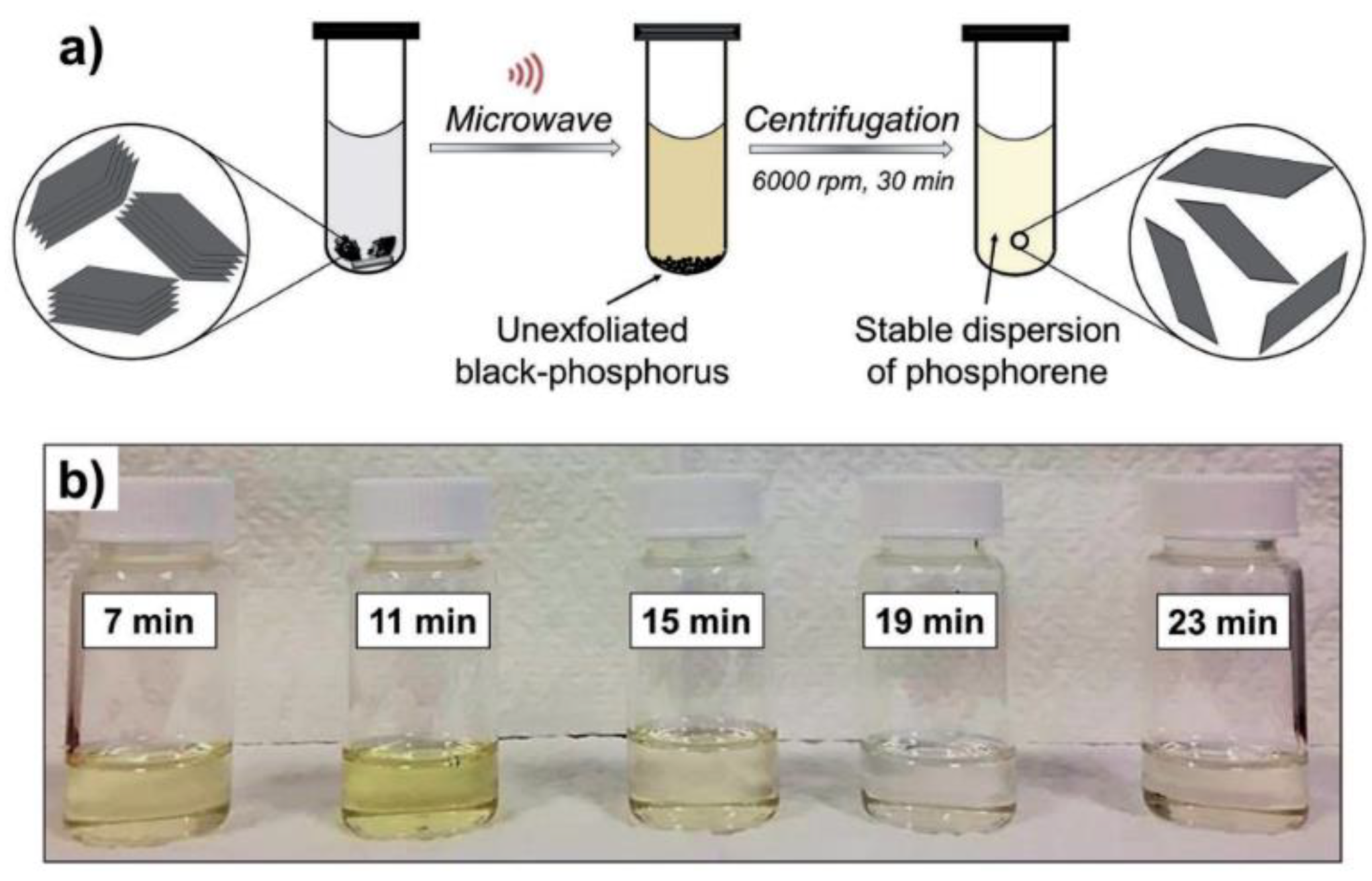 Nanomaterials 14 00892 g006